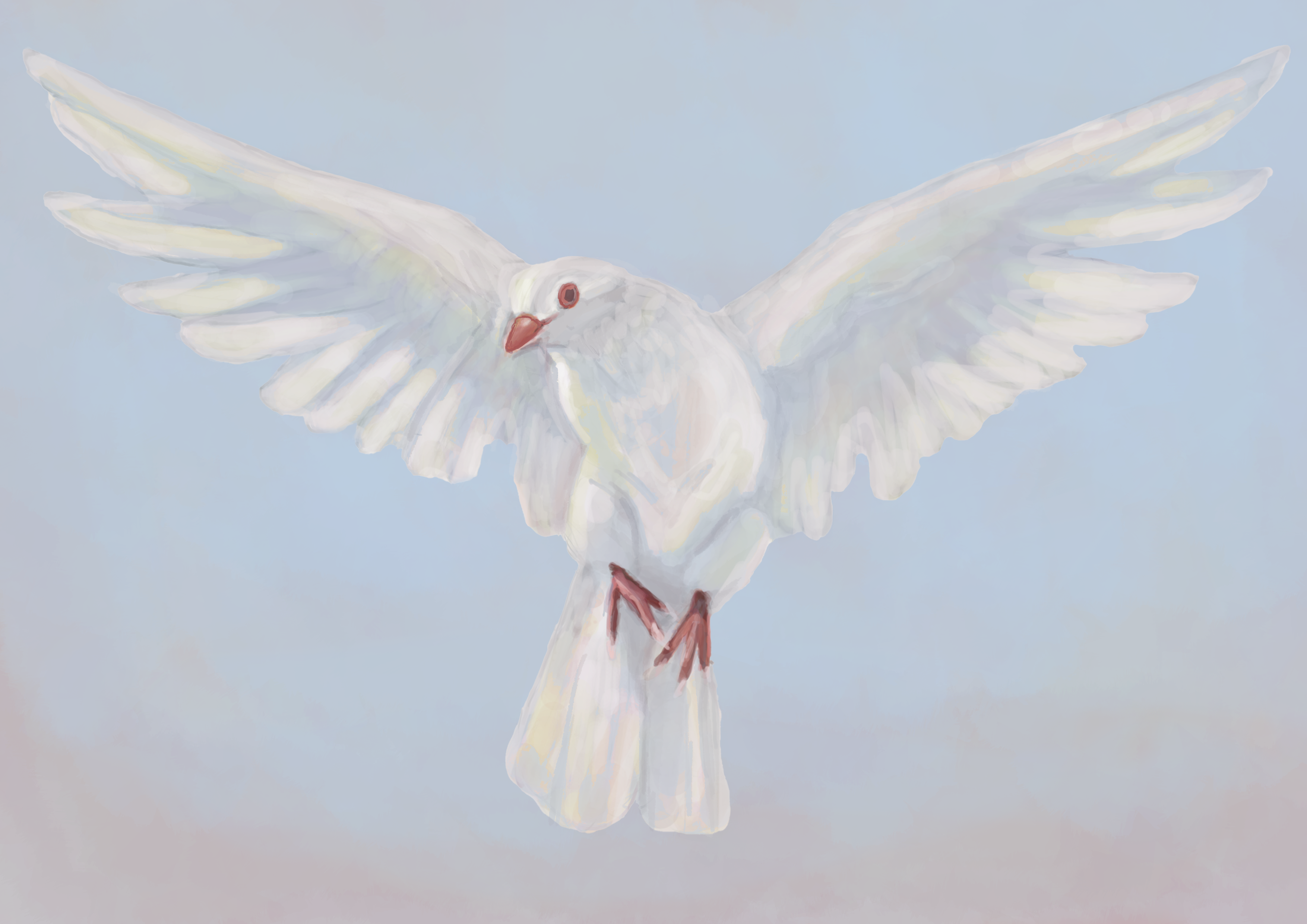 Portfolio item