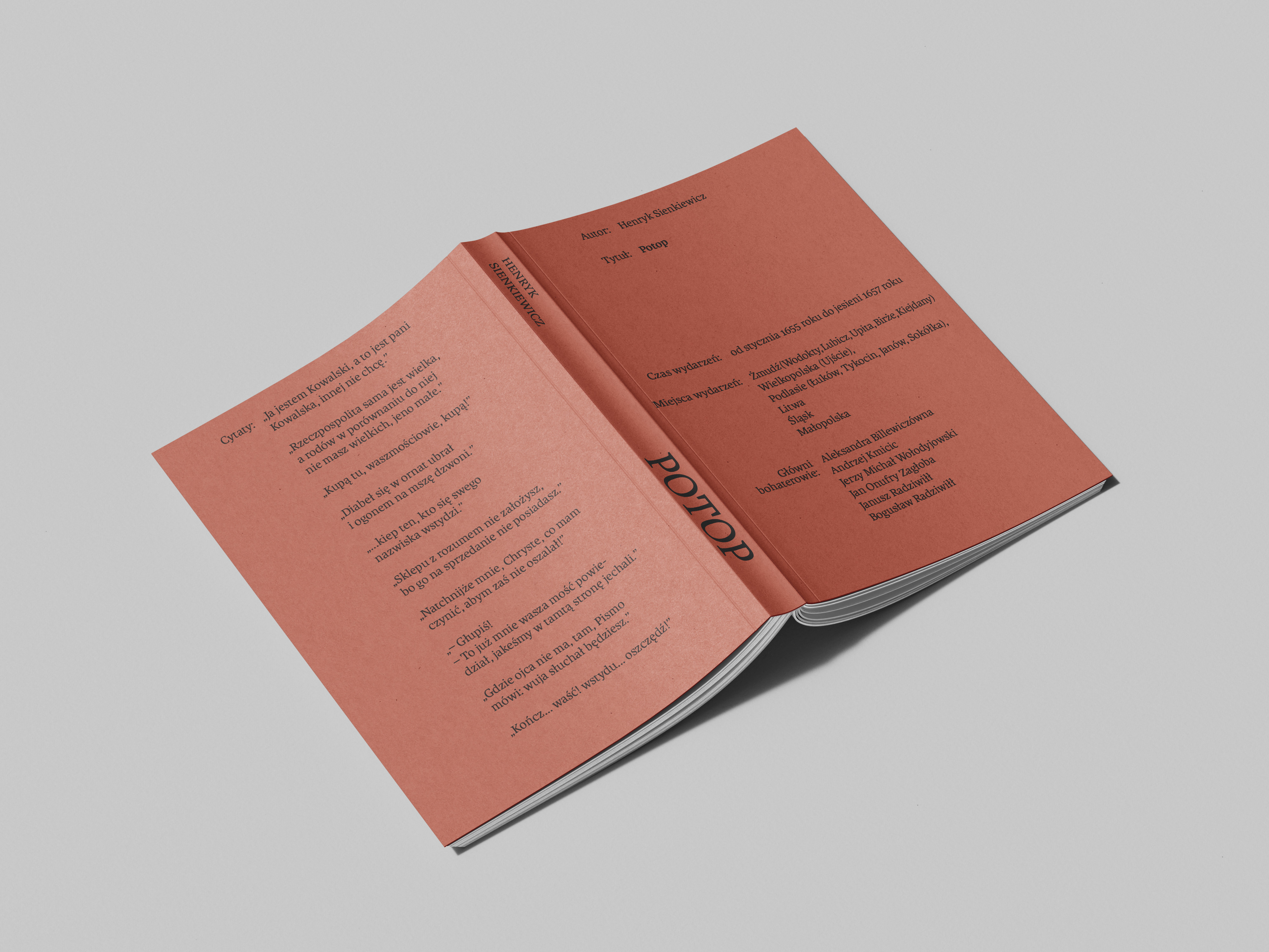 Portfolio item