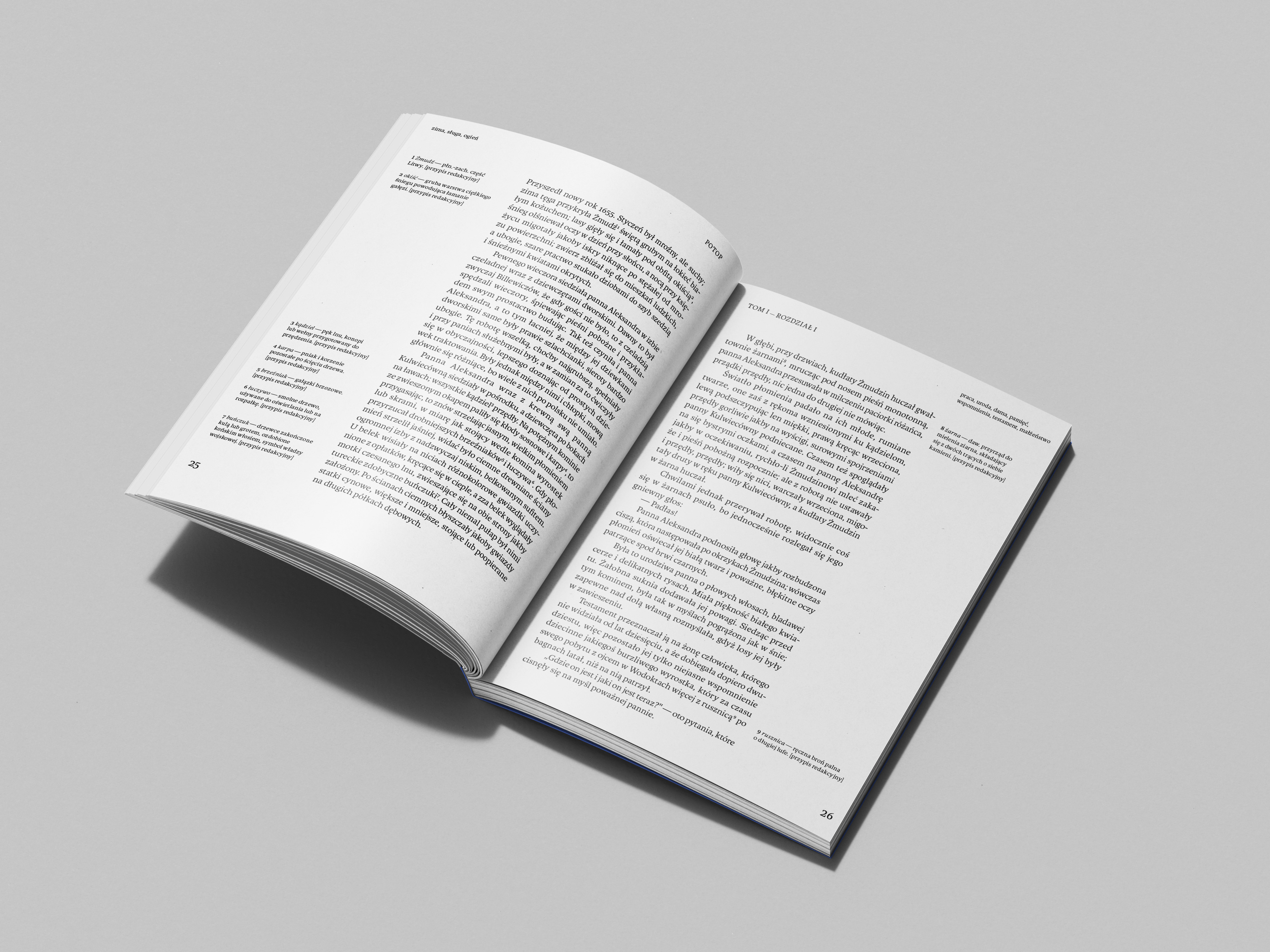 Portfolio item