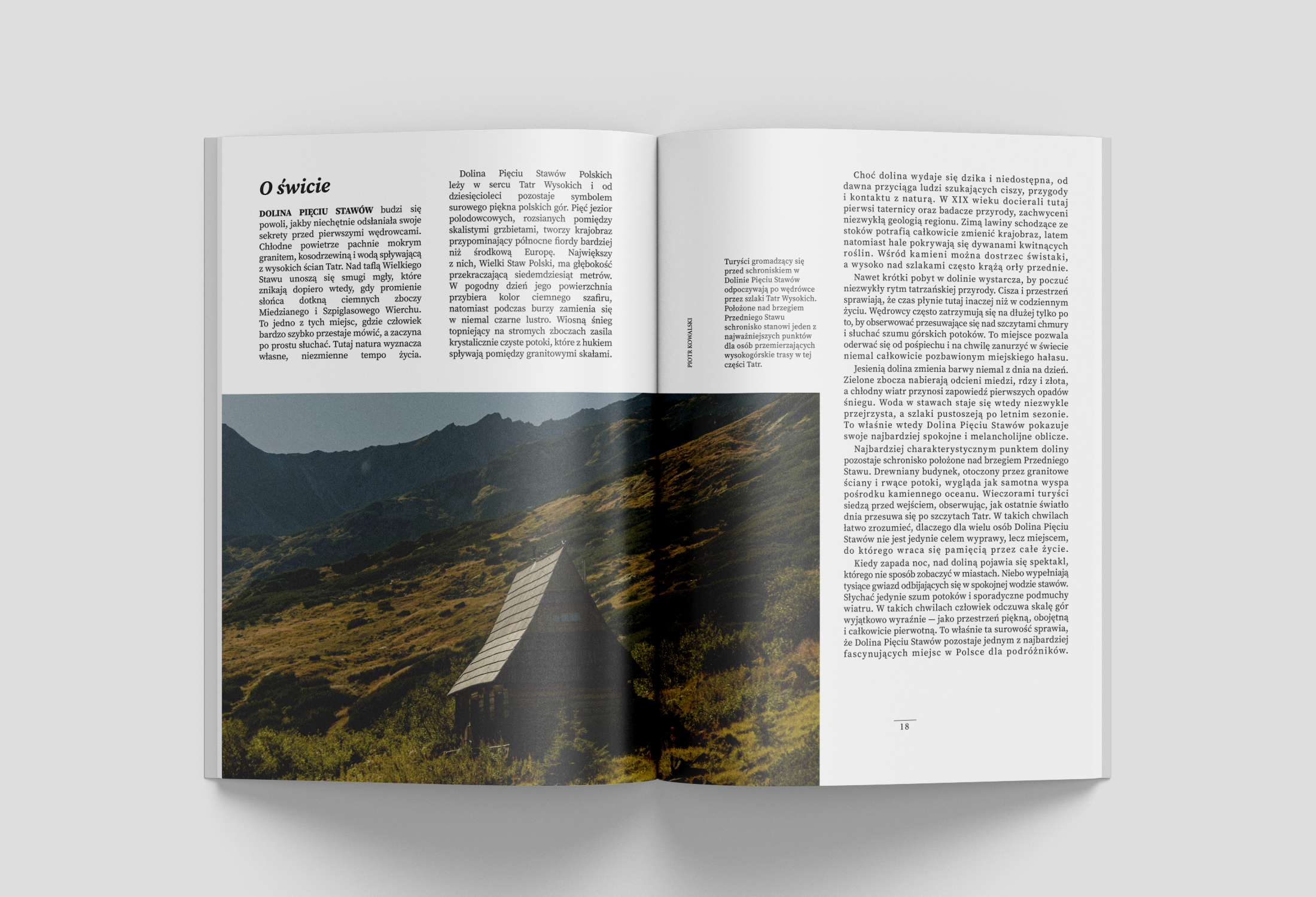 Portfolio item