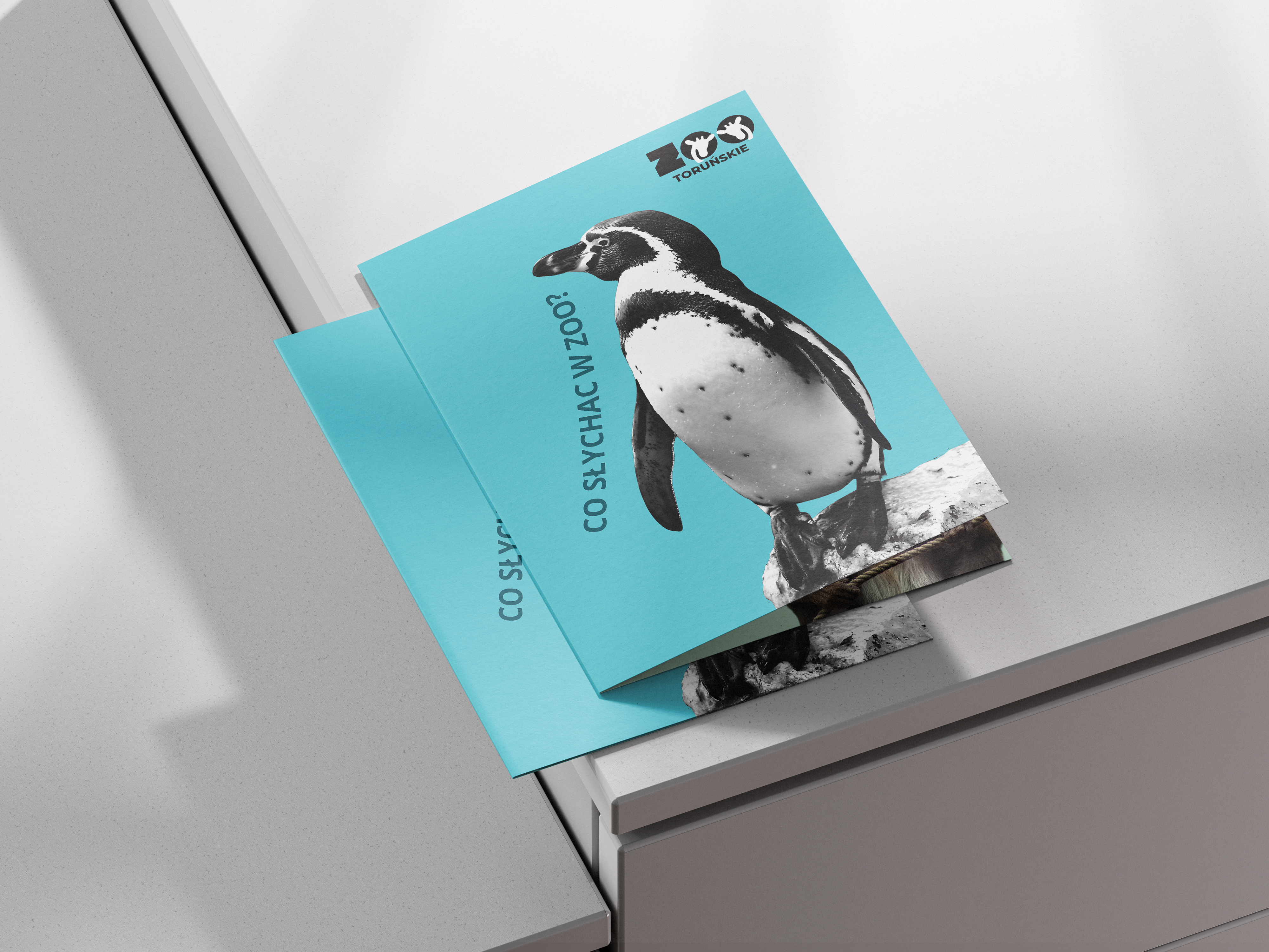 Portfolio item