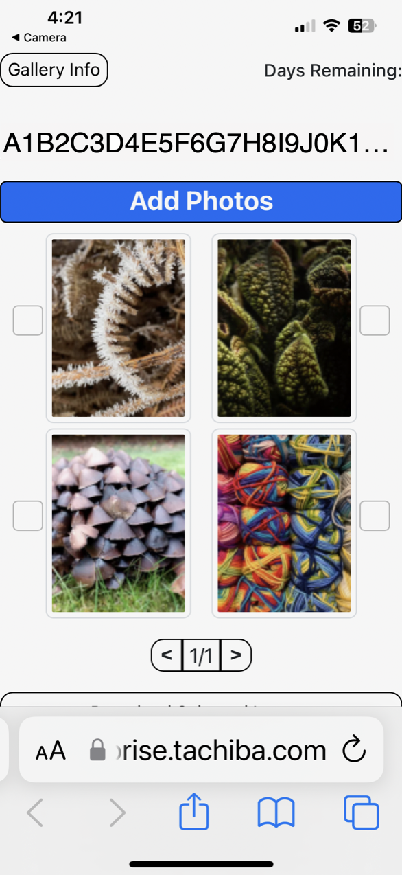 Portfolio item