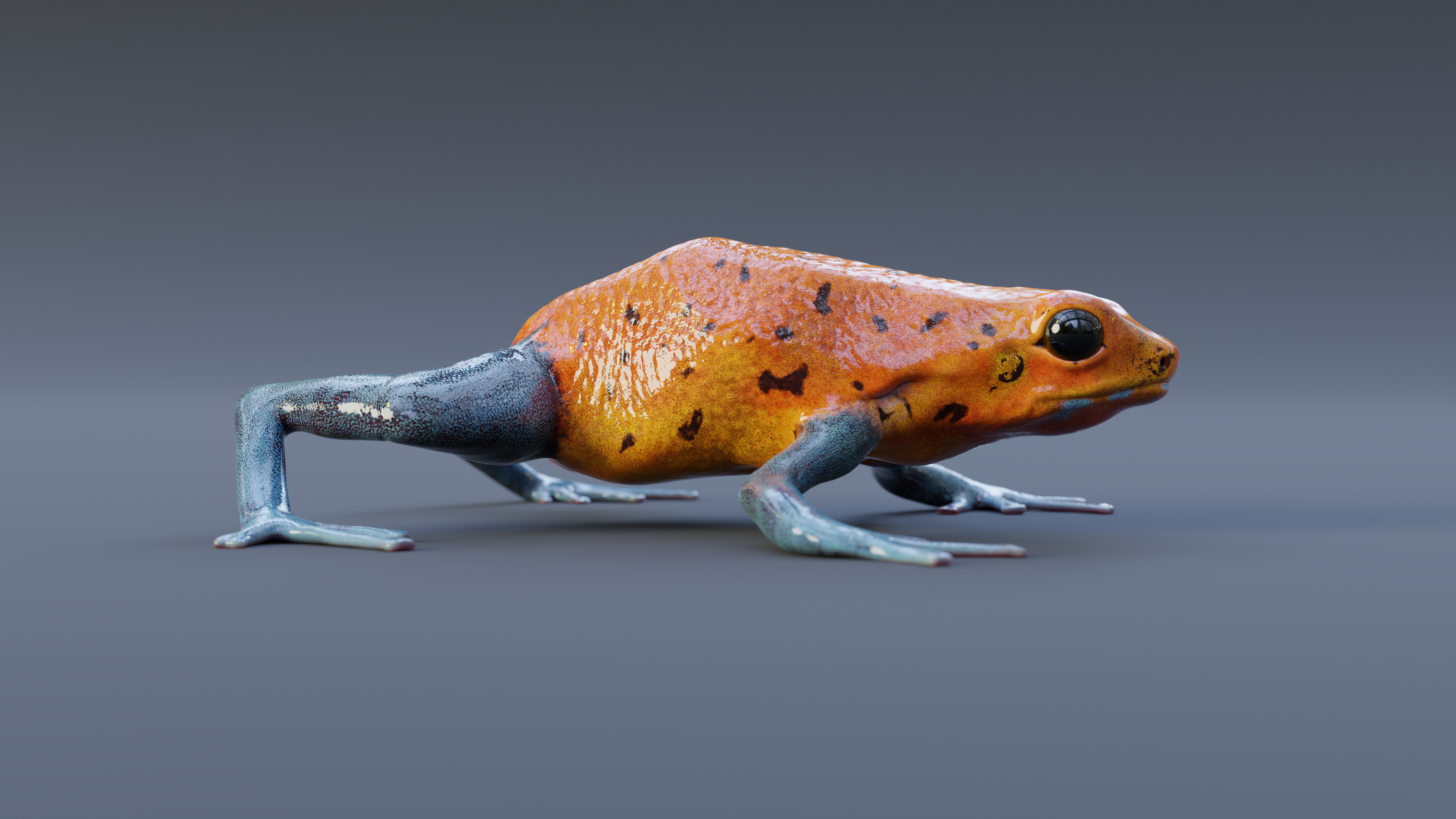 Portfolio item