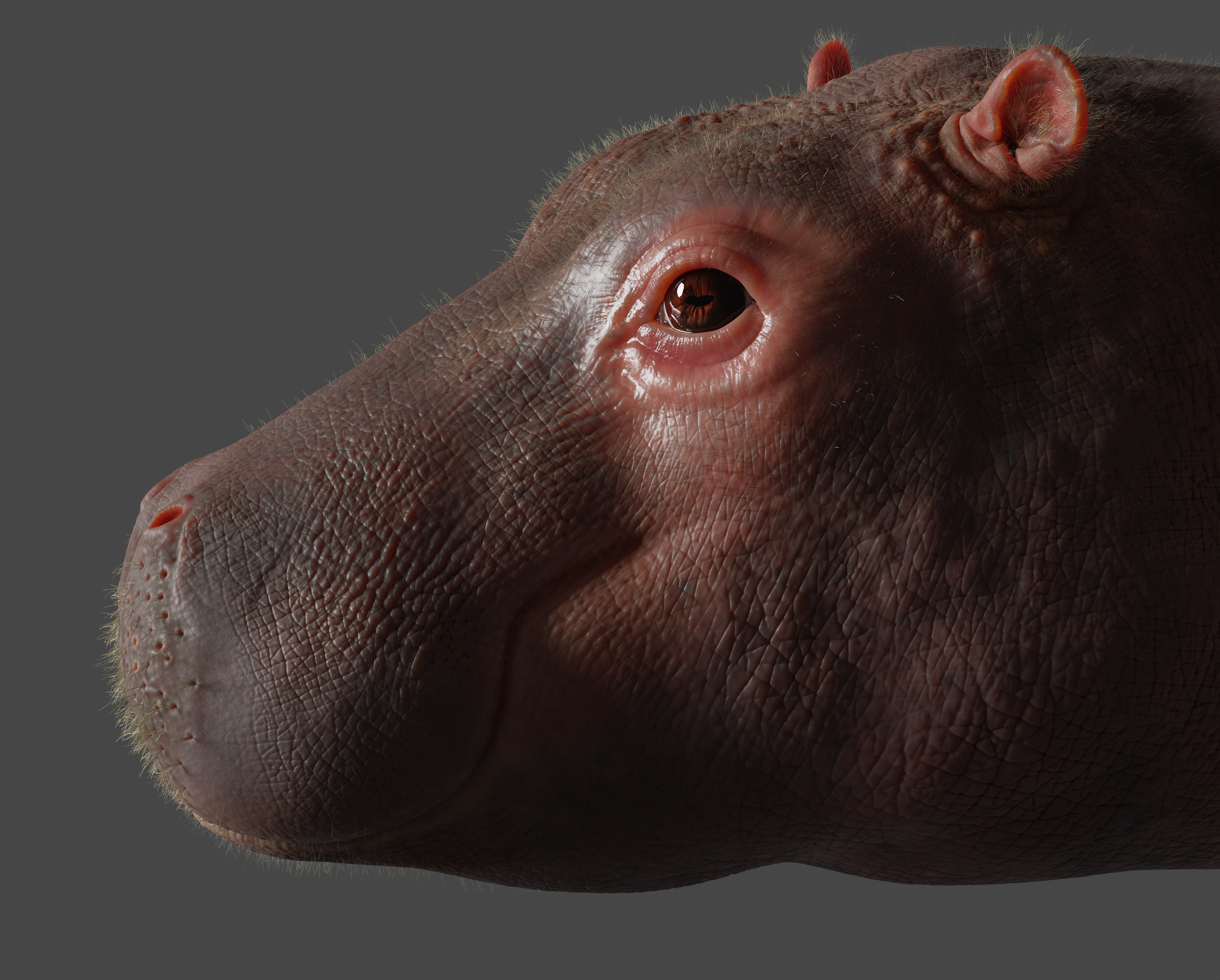 Portfolio item
