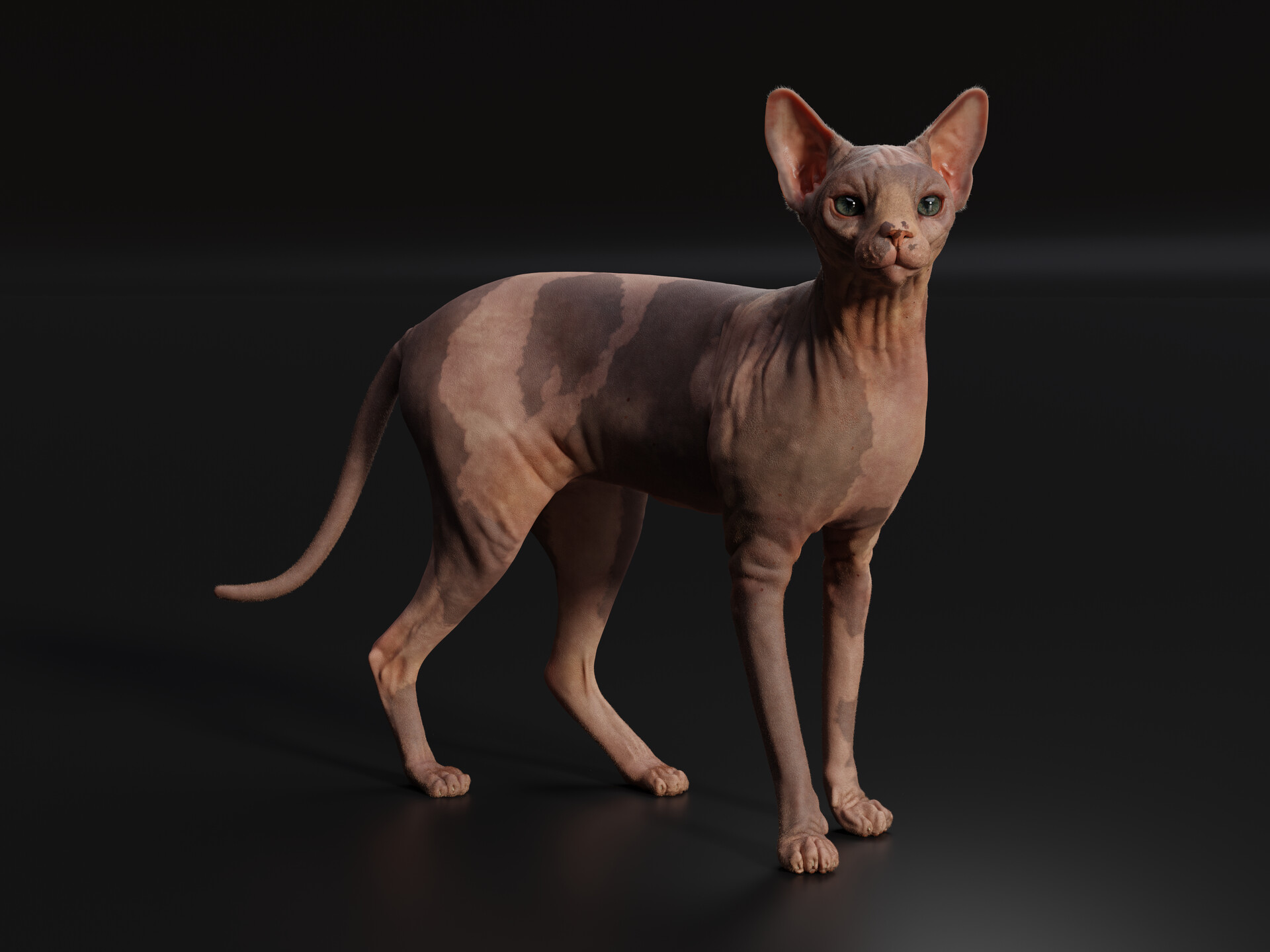 Portfolio item
