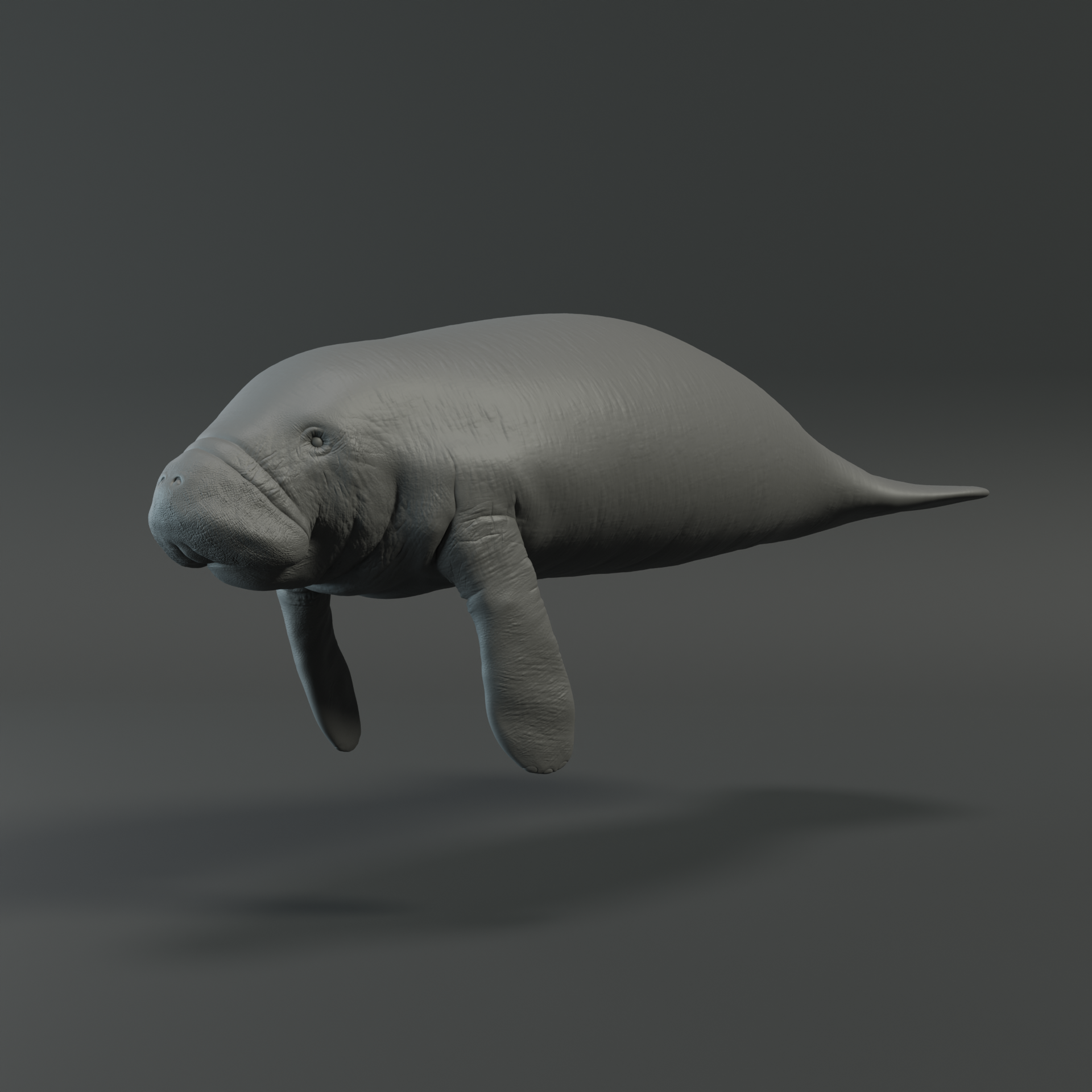 Portfolio item