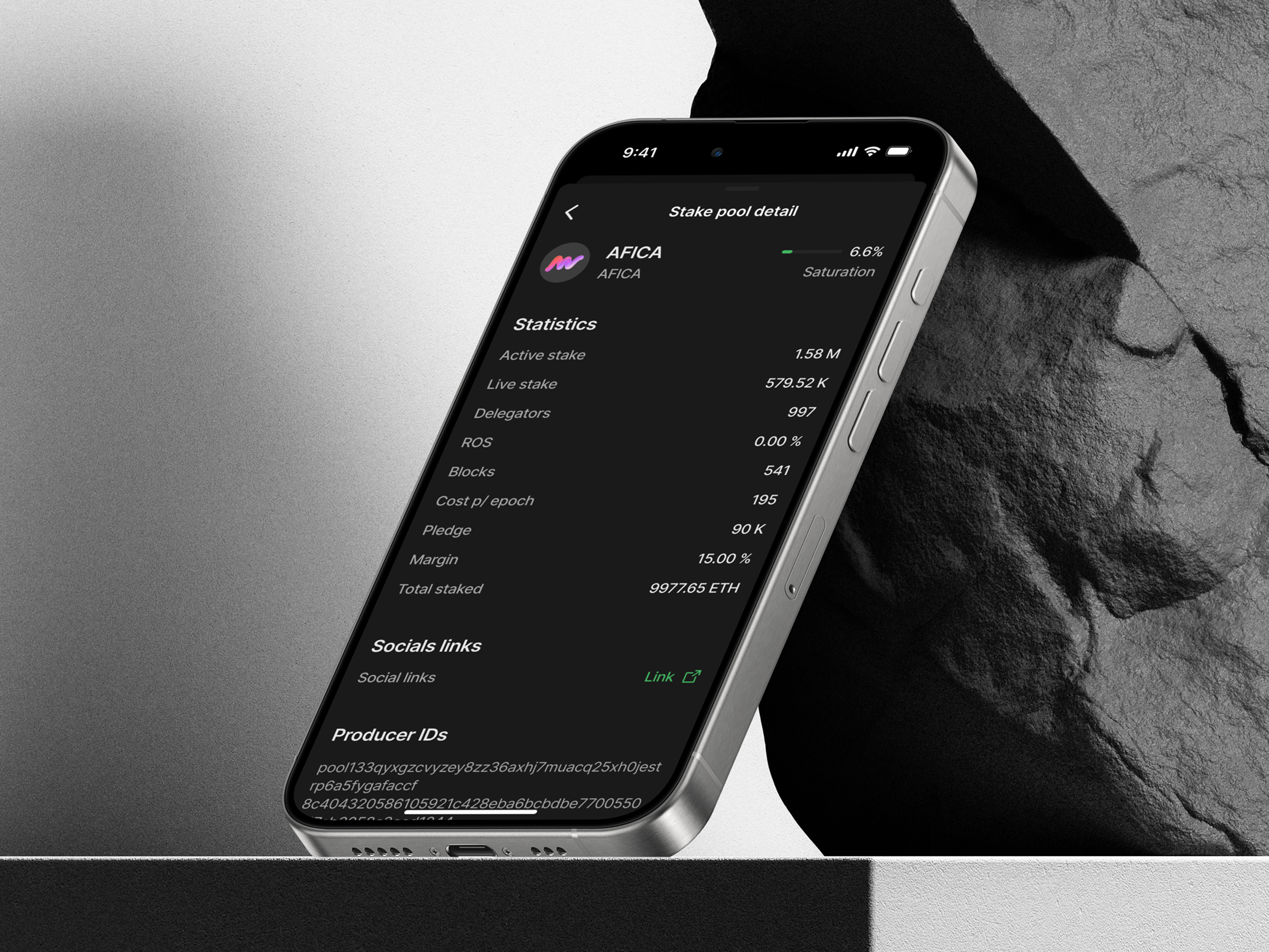 Portfolio item