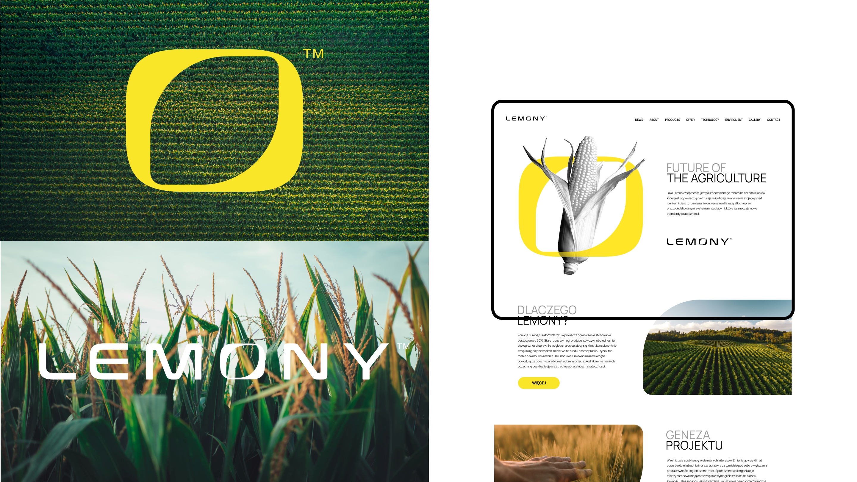 Portfolio item
