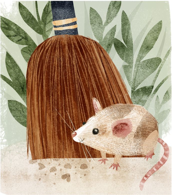 Portfolio item