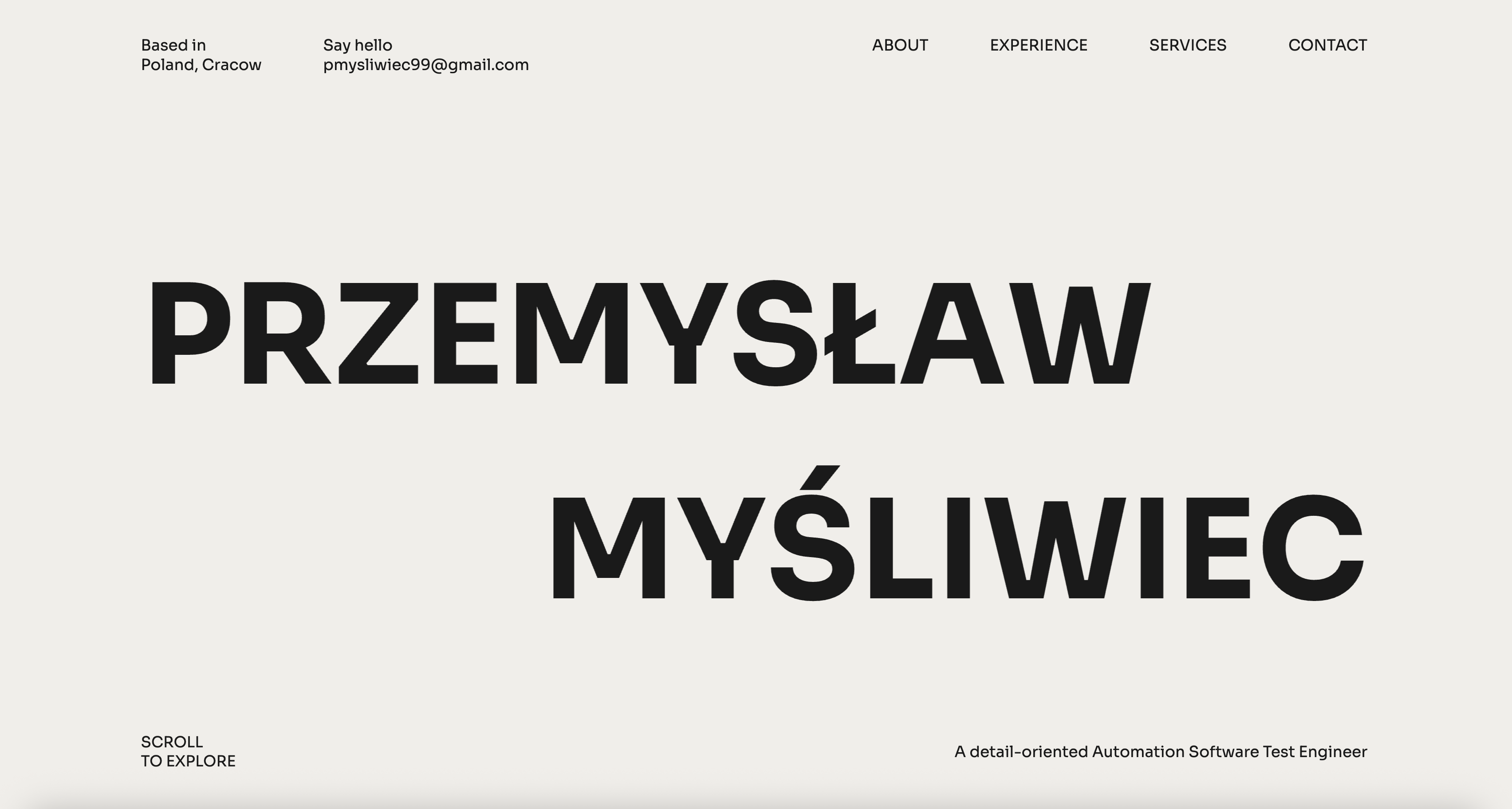 Portfolio item