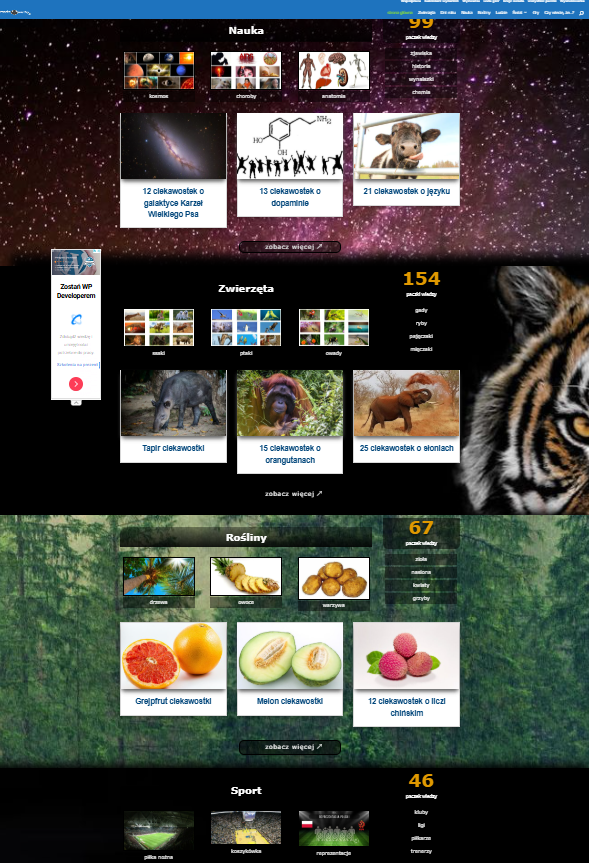 Portfolio item