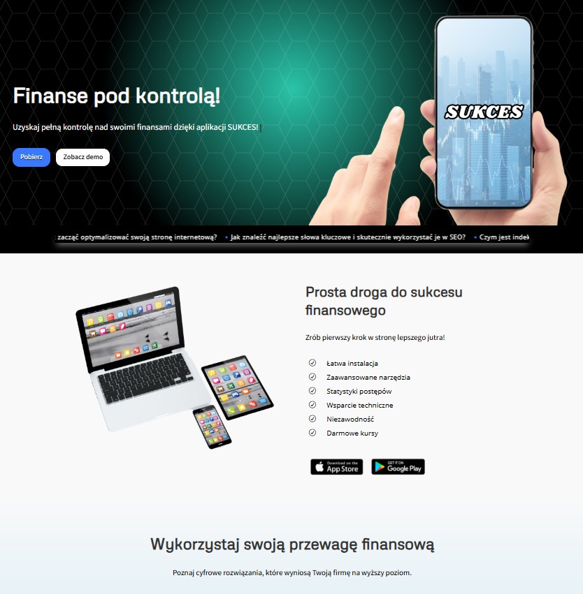 Portfolio item