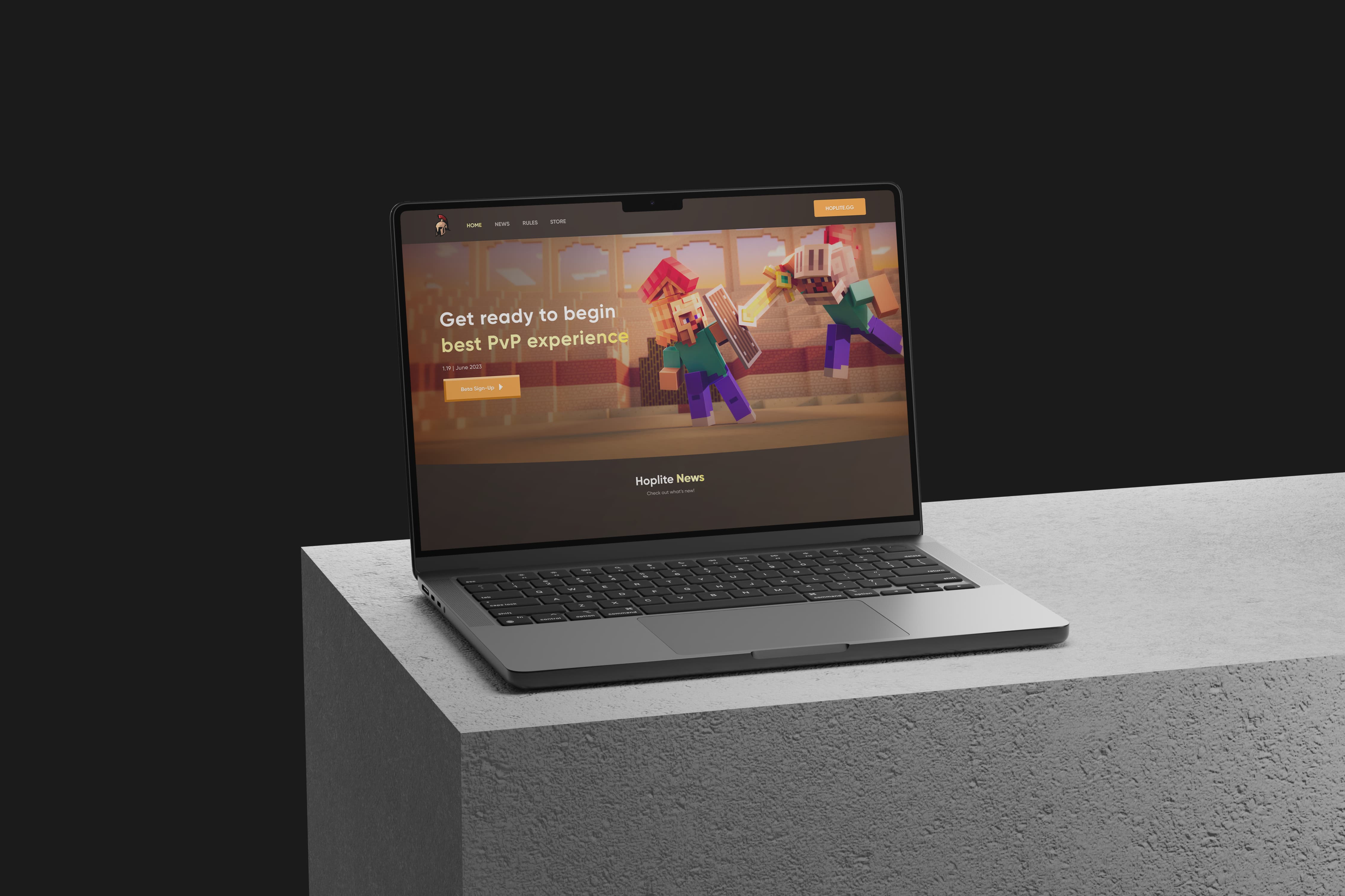 Portfolio item