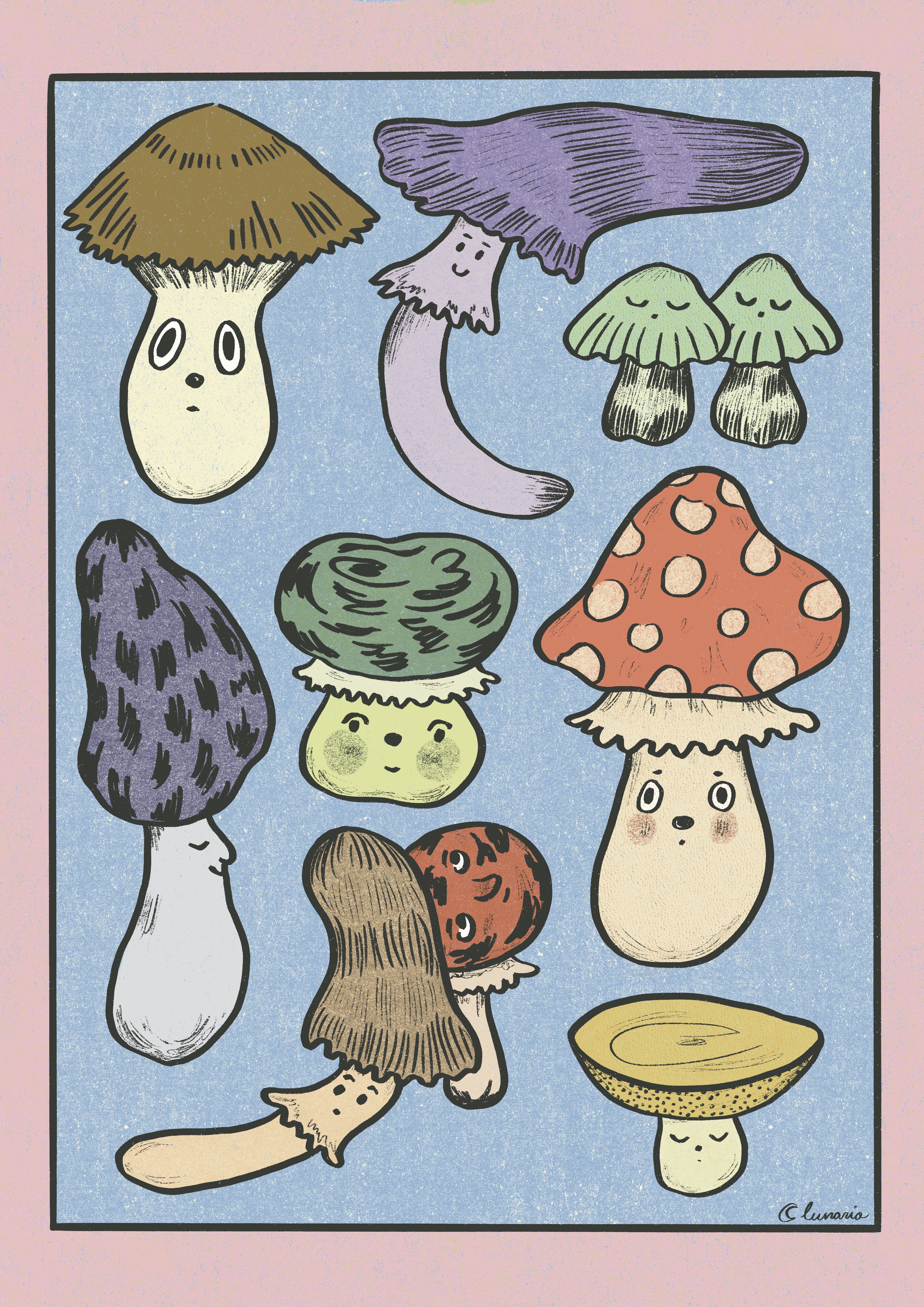 Portfolio item