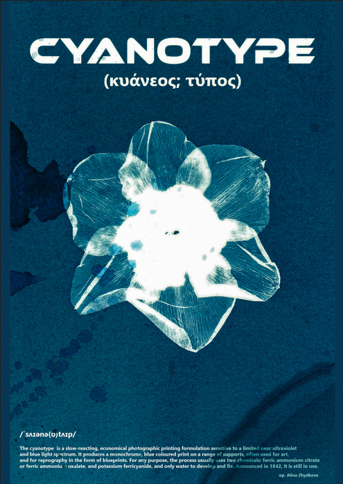 Portfolio item