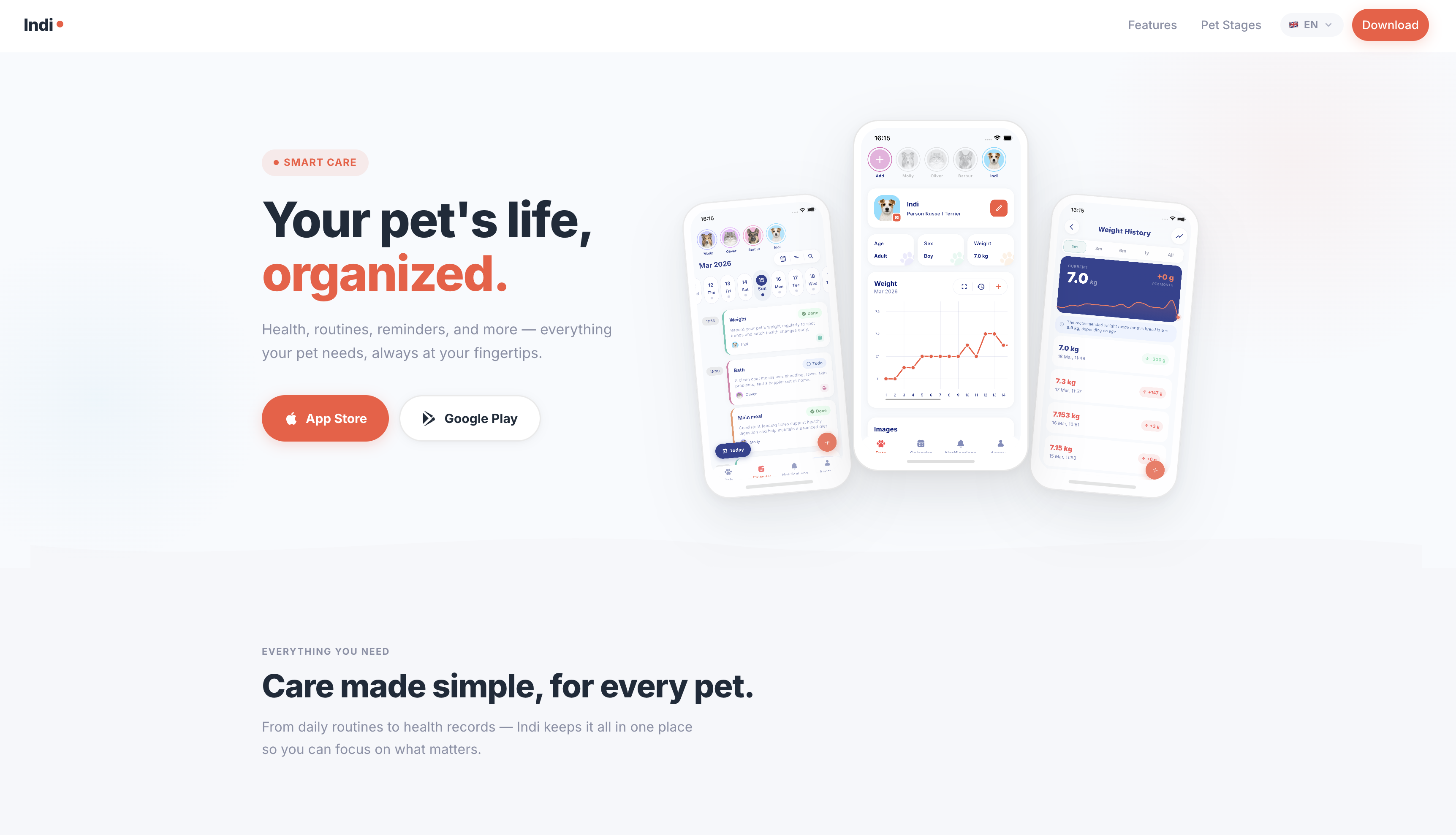 Portfolio item