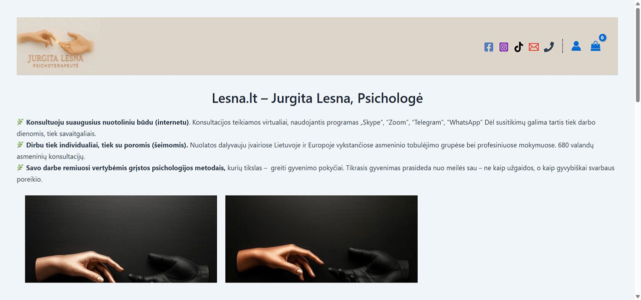 Portfolio item