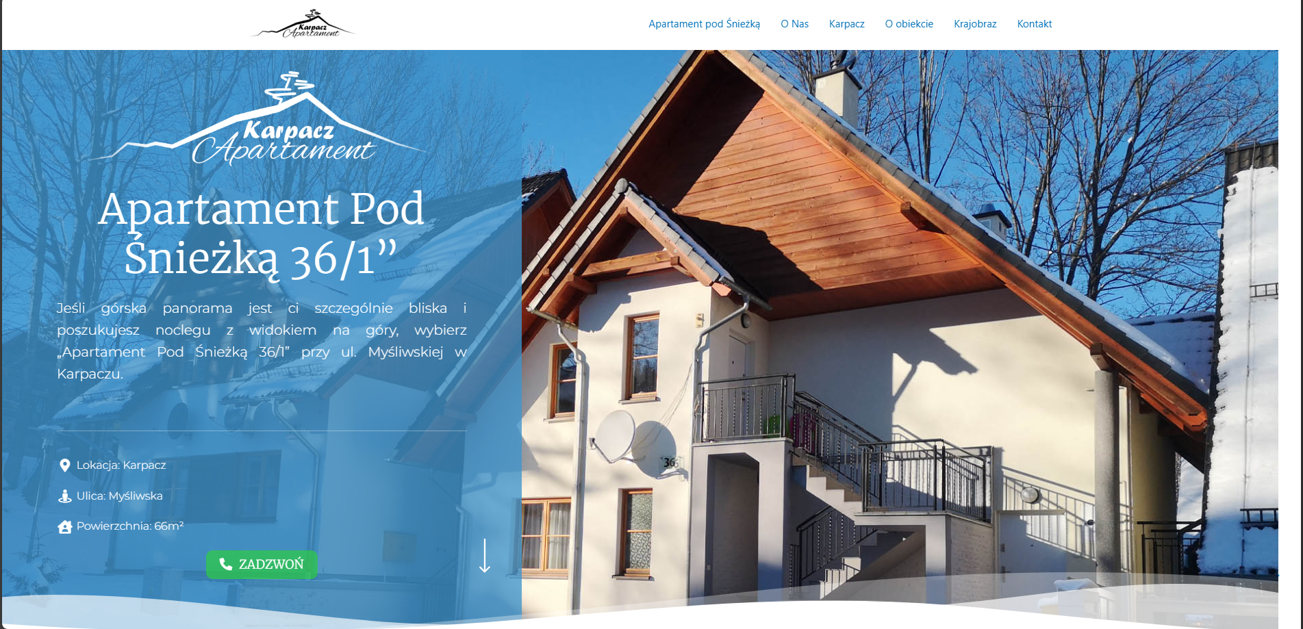 Portfolio item