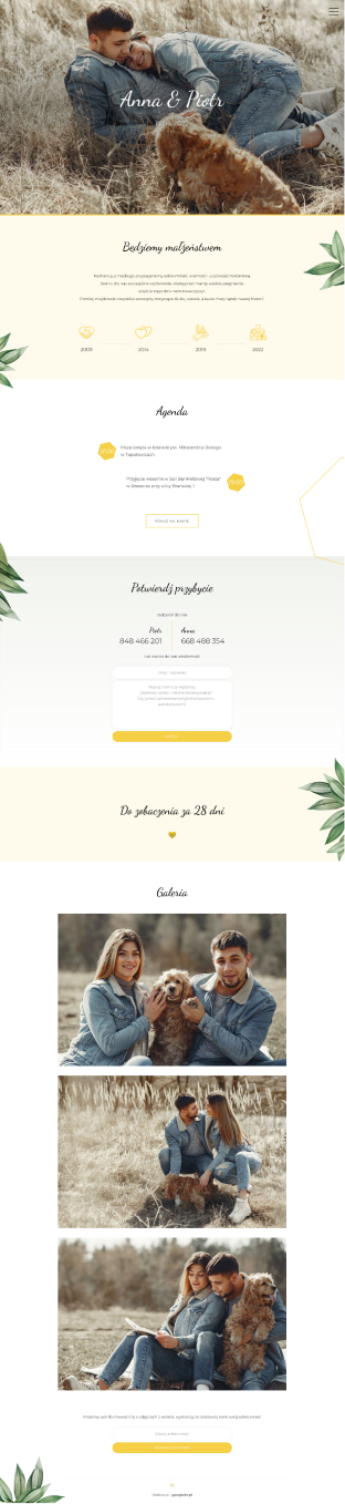 Portfolio item