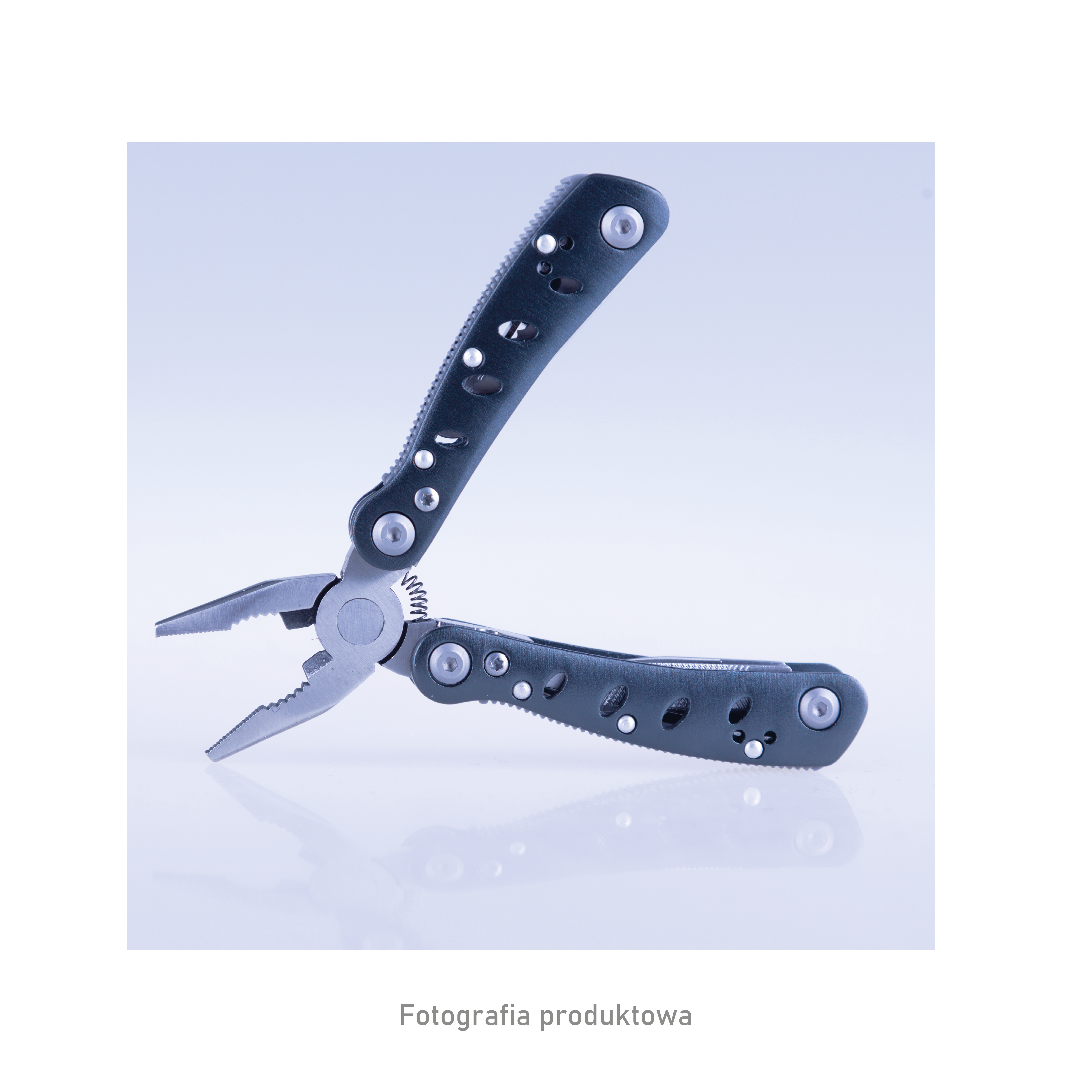 Portfolio item