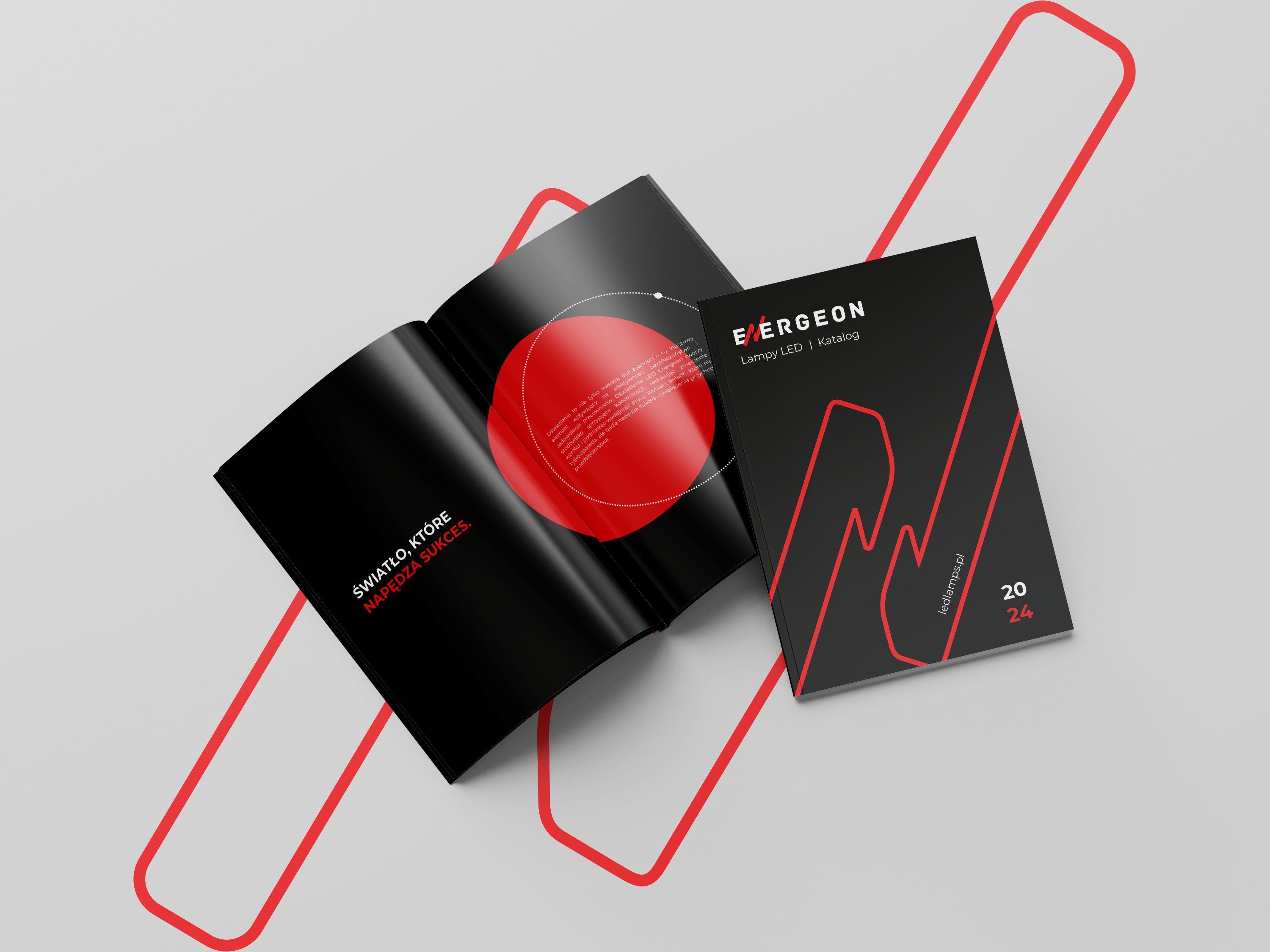 Portfolio item