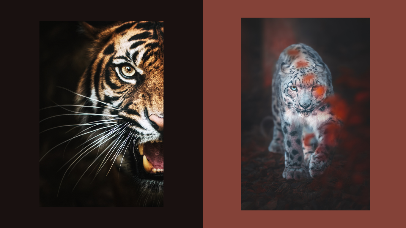 Portfolio item