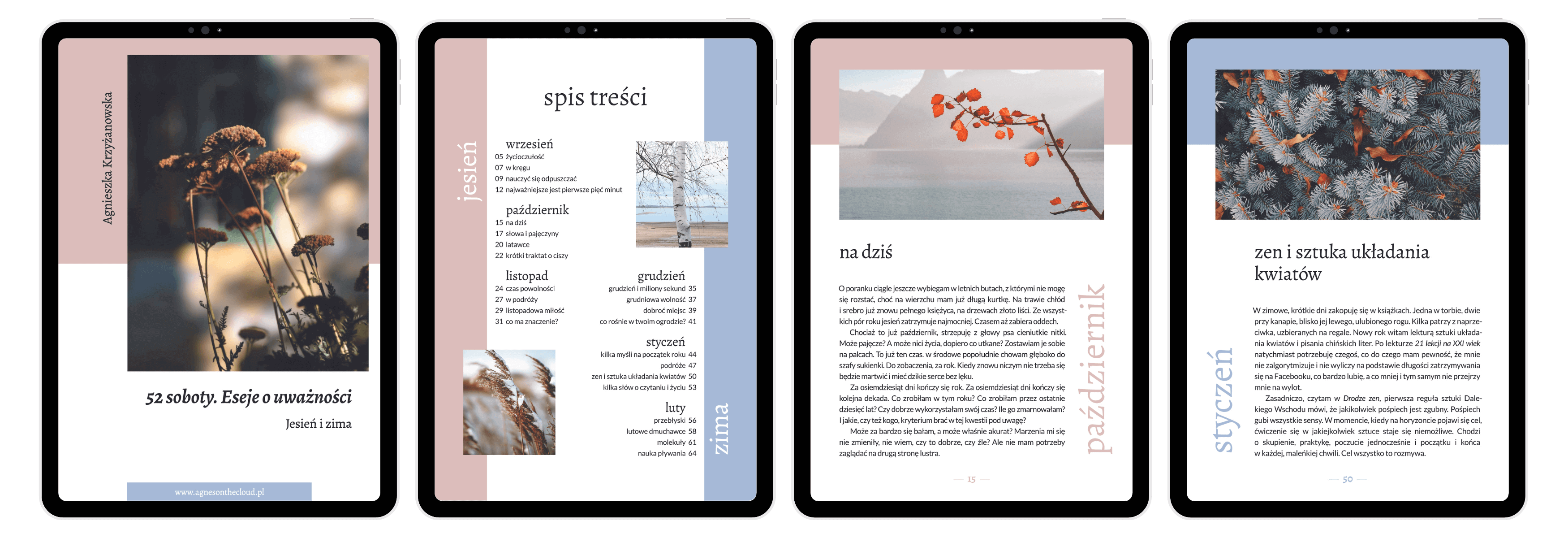 Portfolio item