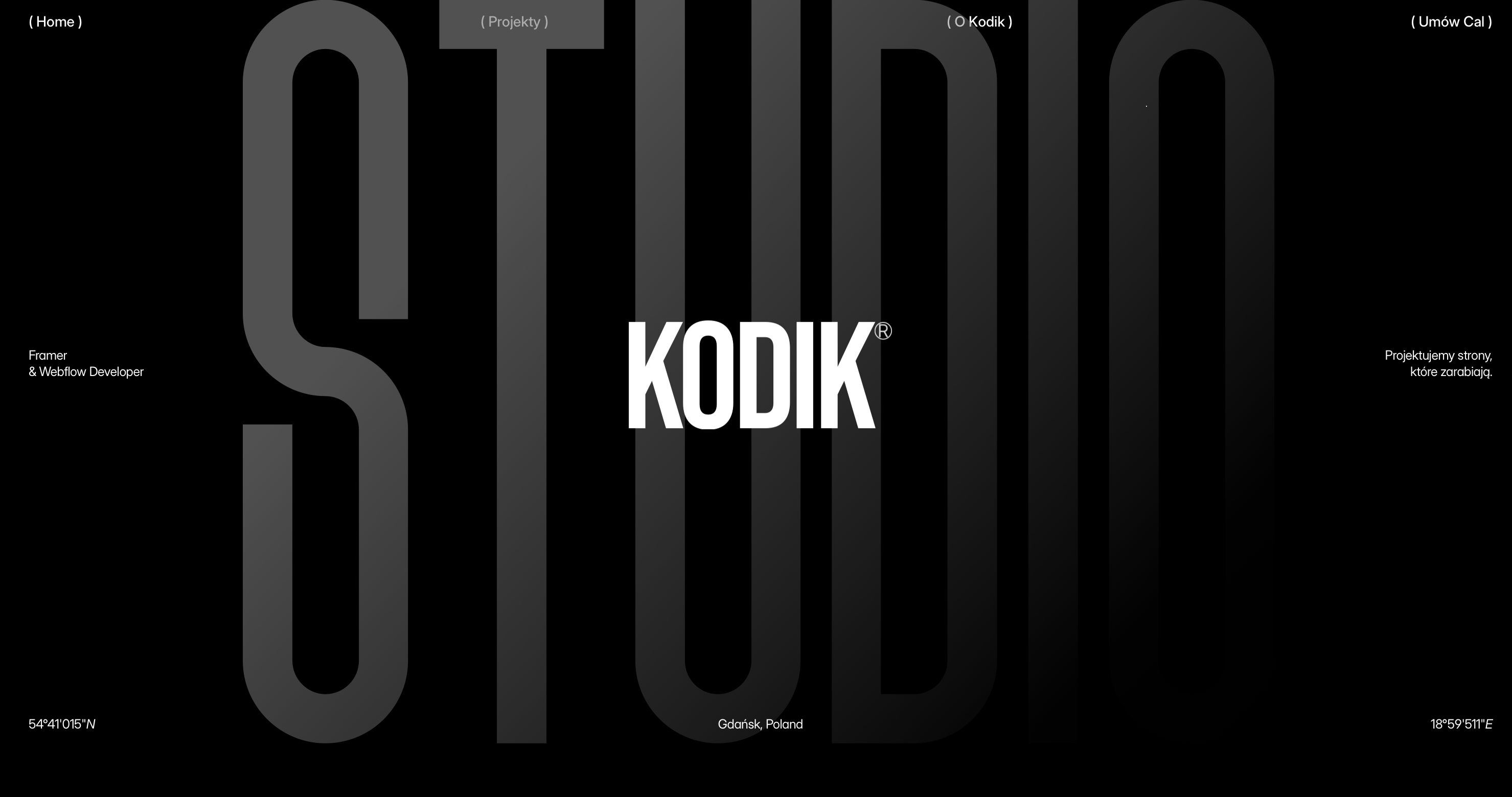 Portfolio item