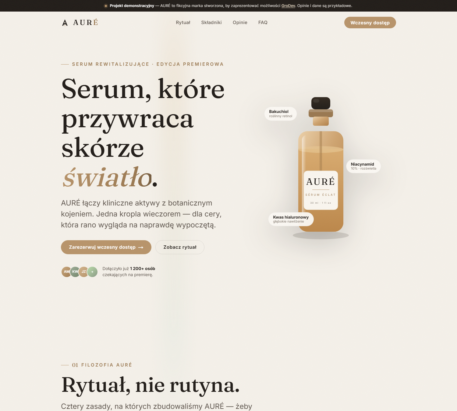 Portfolio item