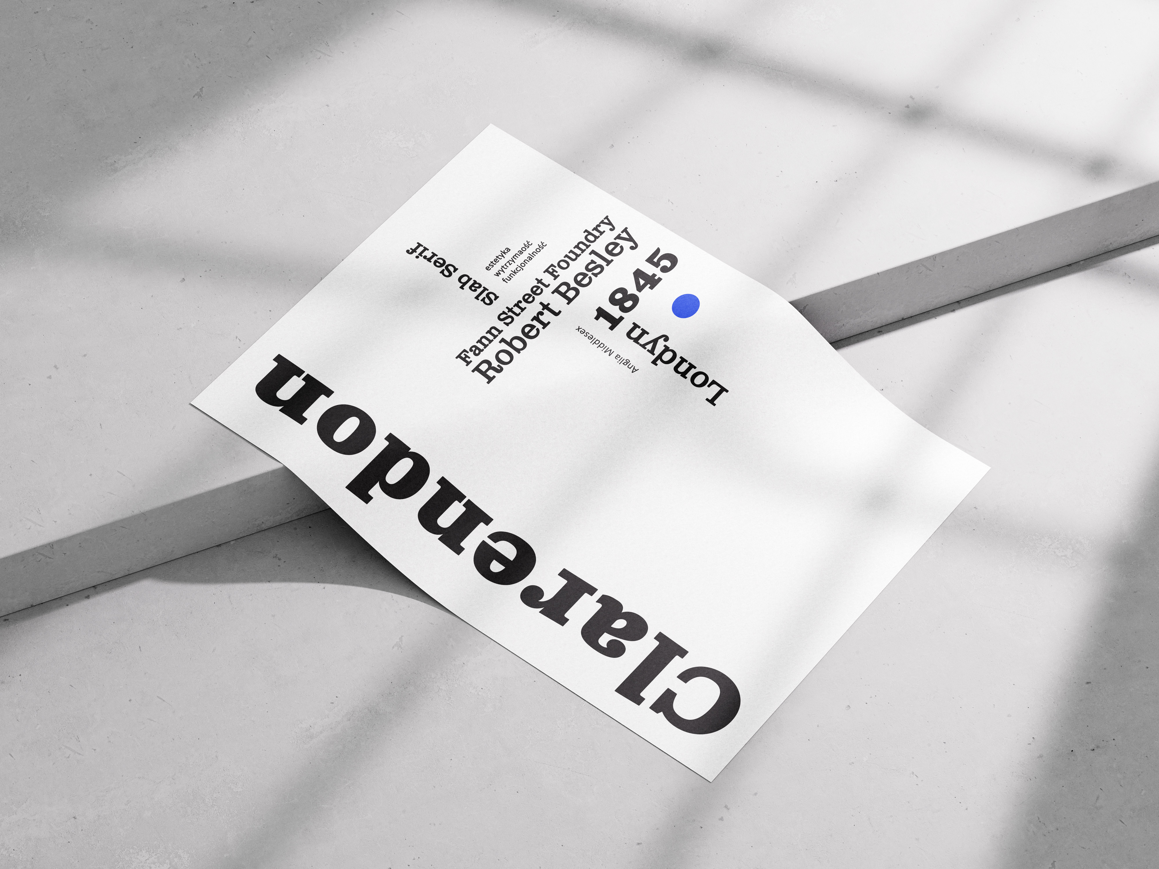 Portfolio item