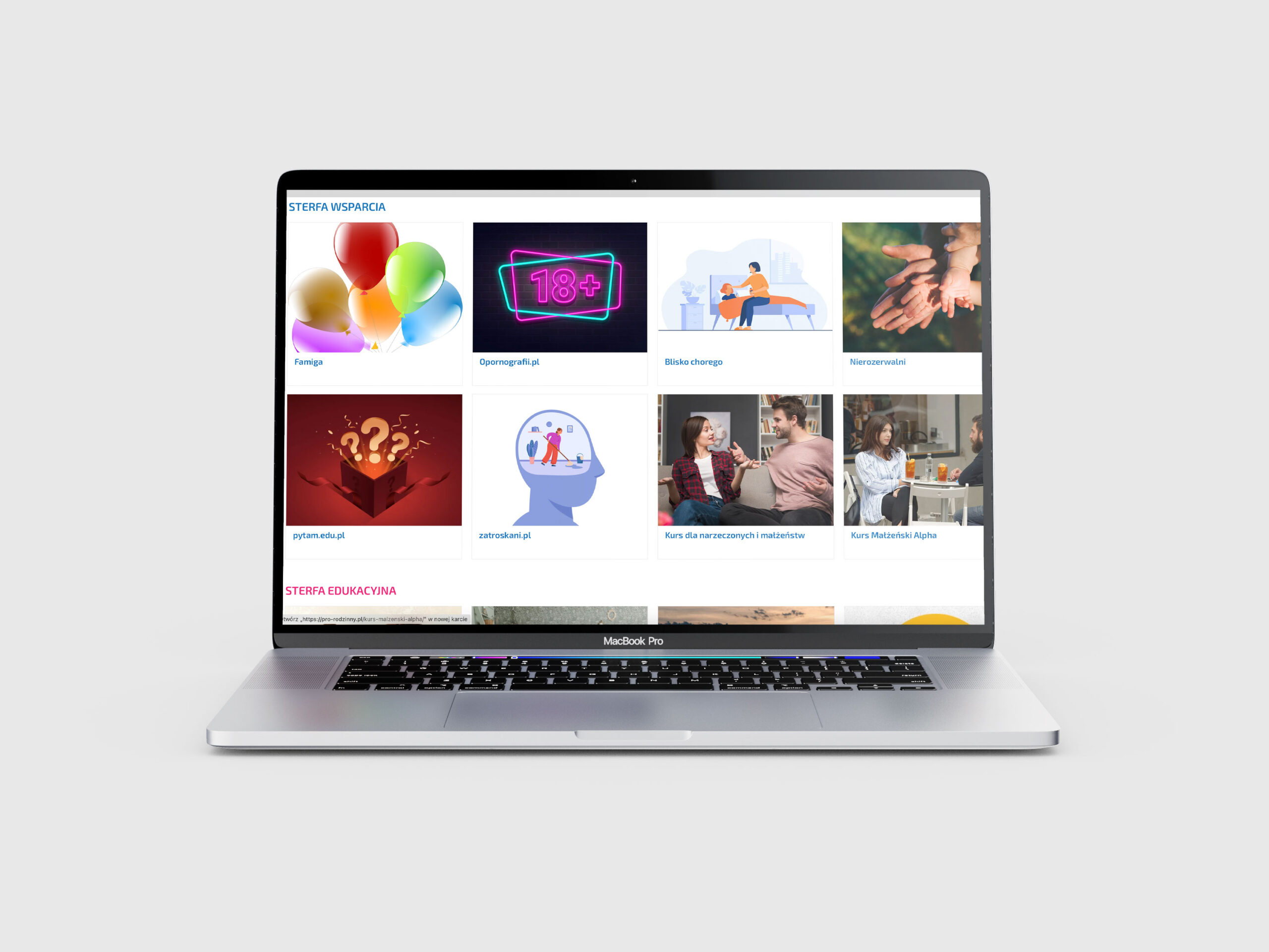 Portfolio item
