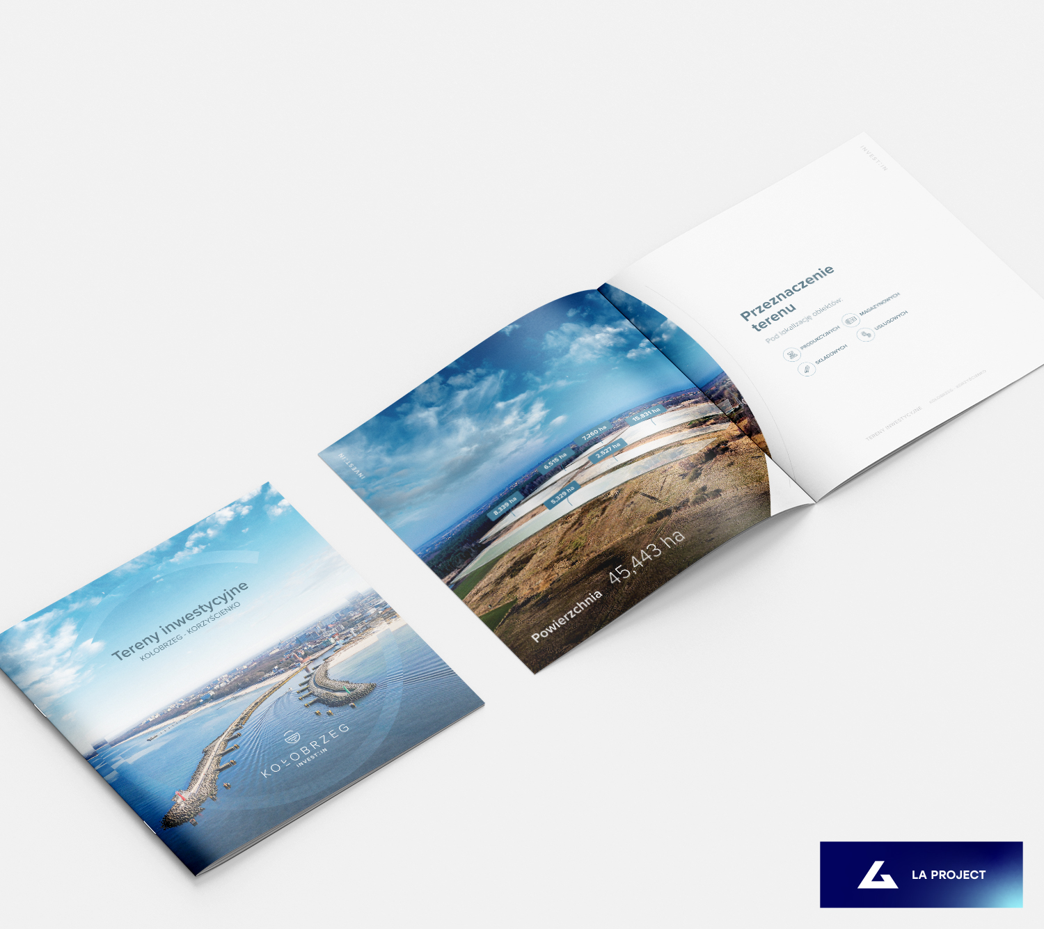 Portfolio item