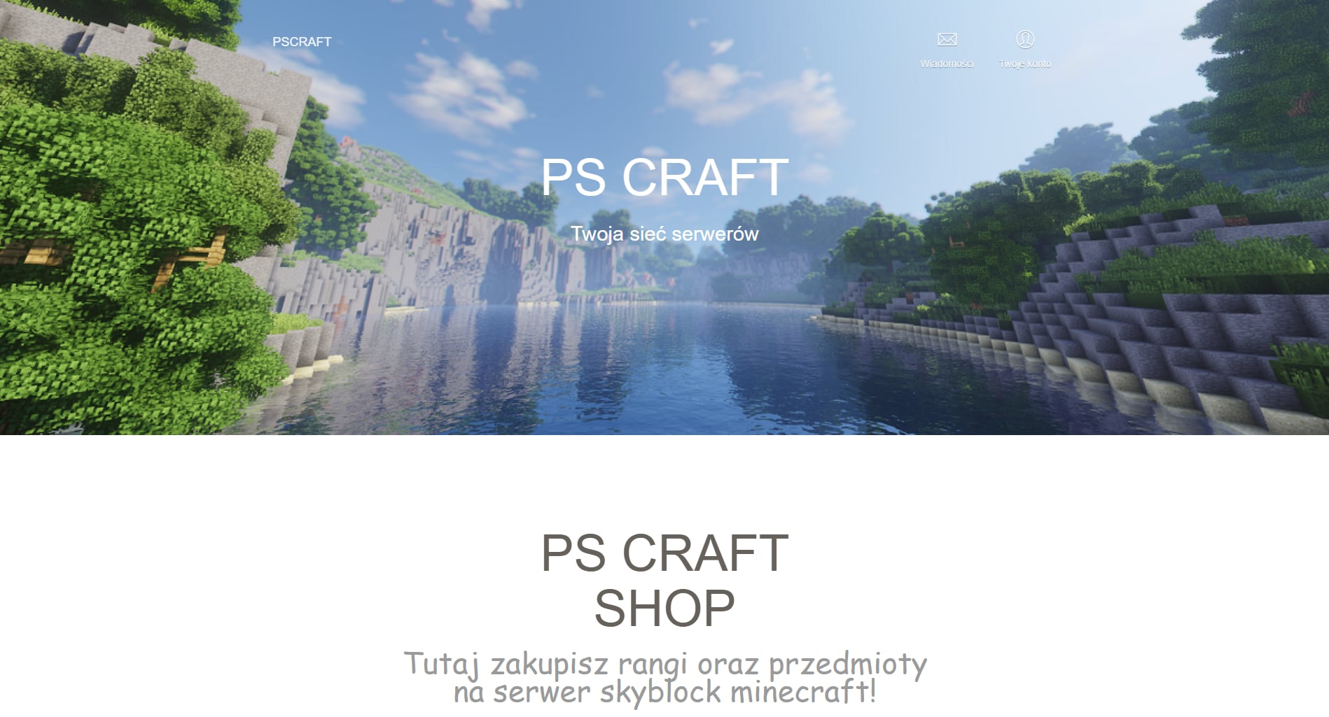 Portfolio item