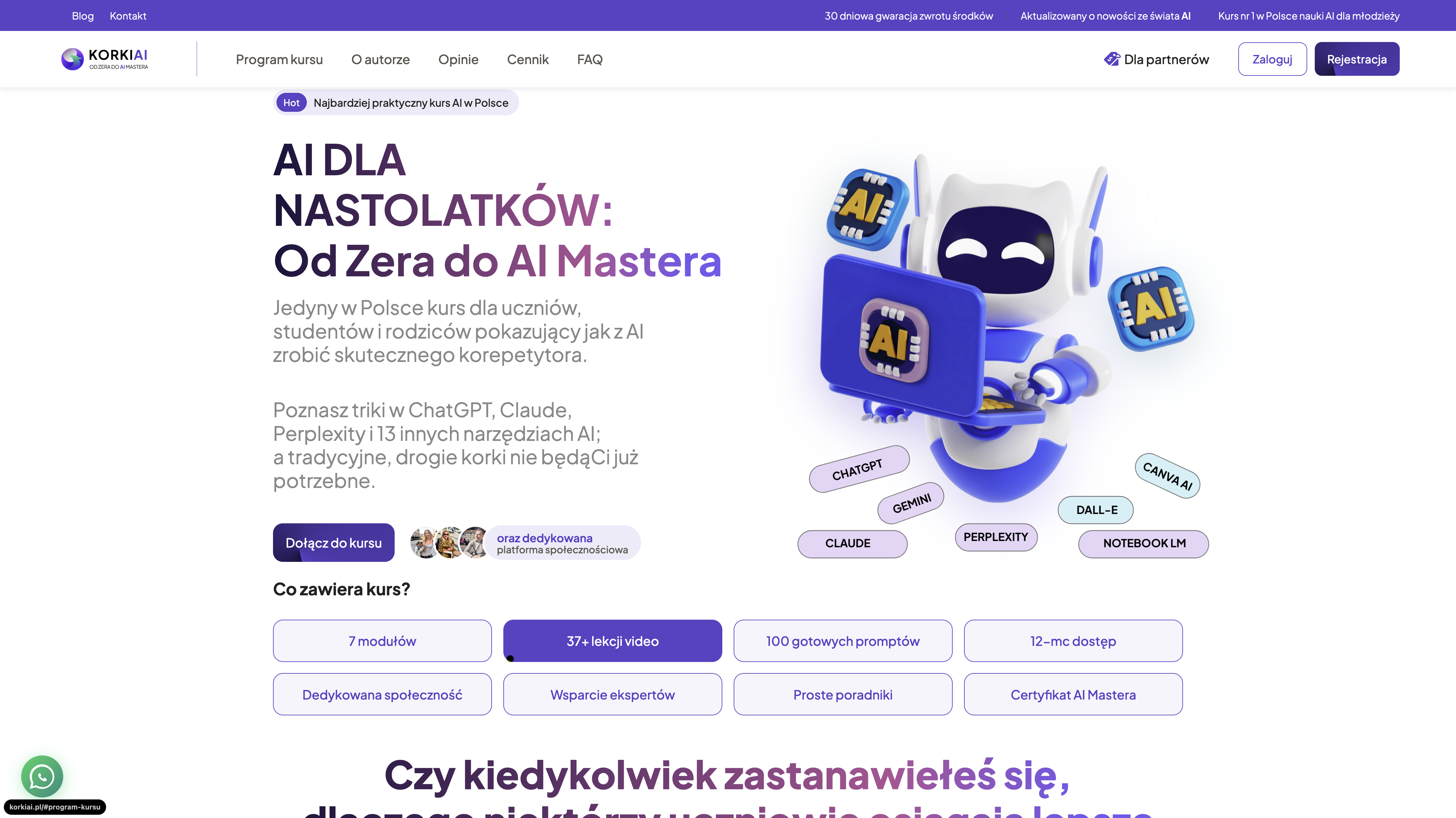 Portfolio item