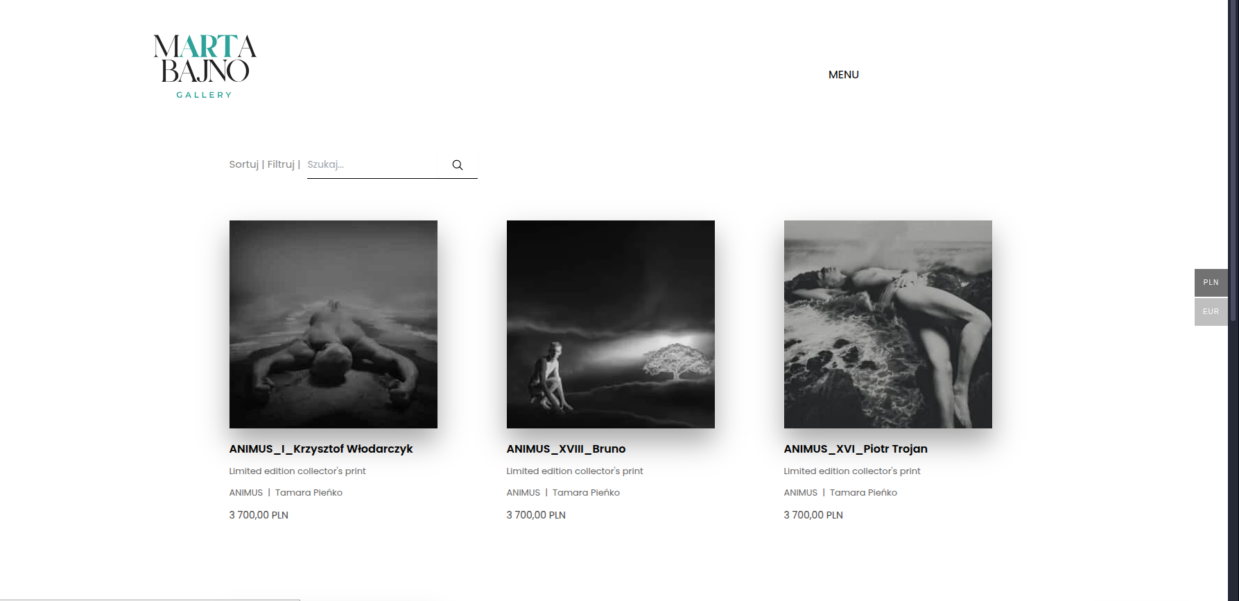 Portfolio item