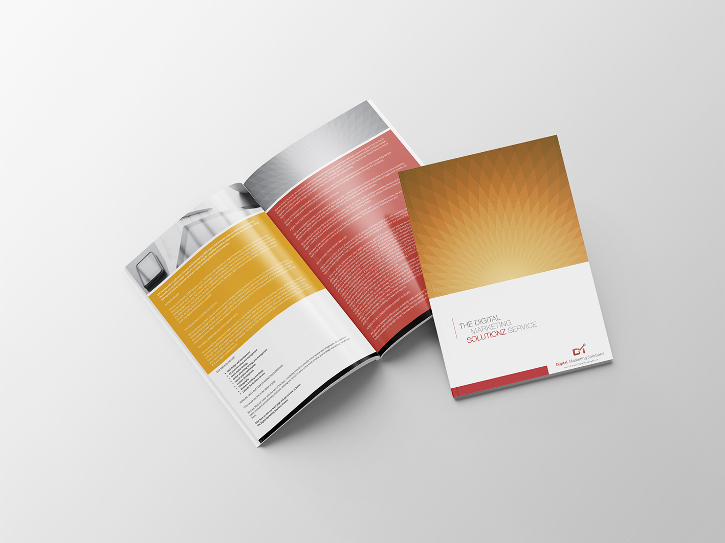 Portfolio item