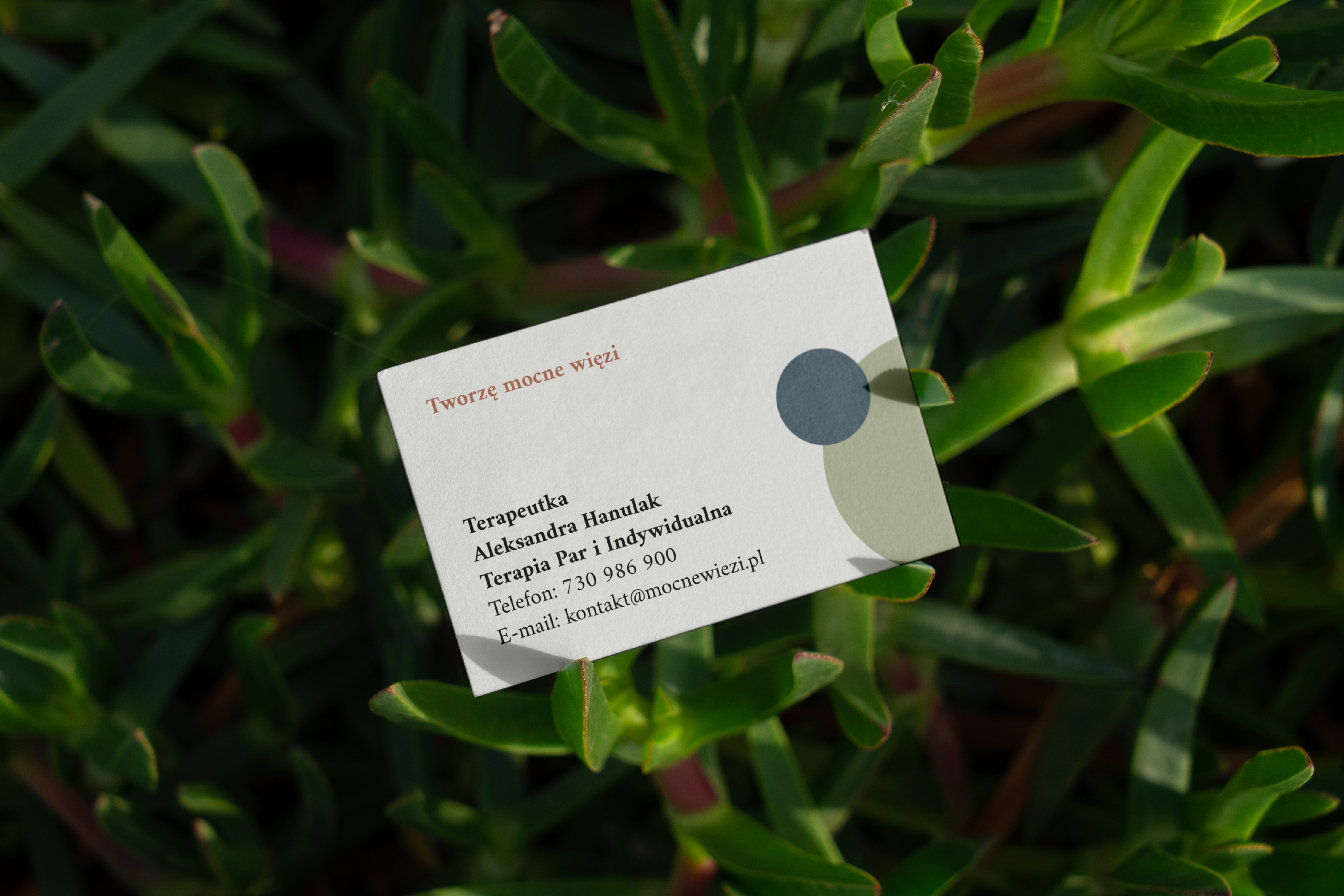 Portfolio item