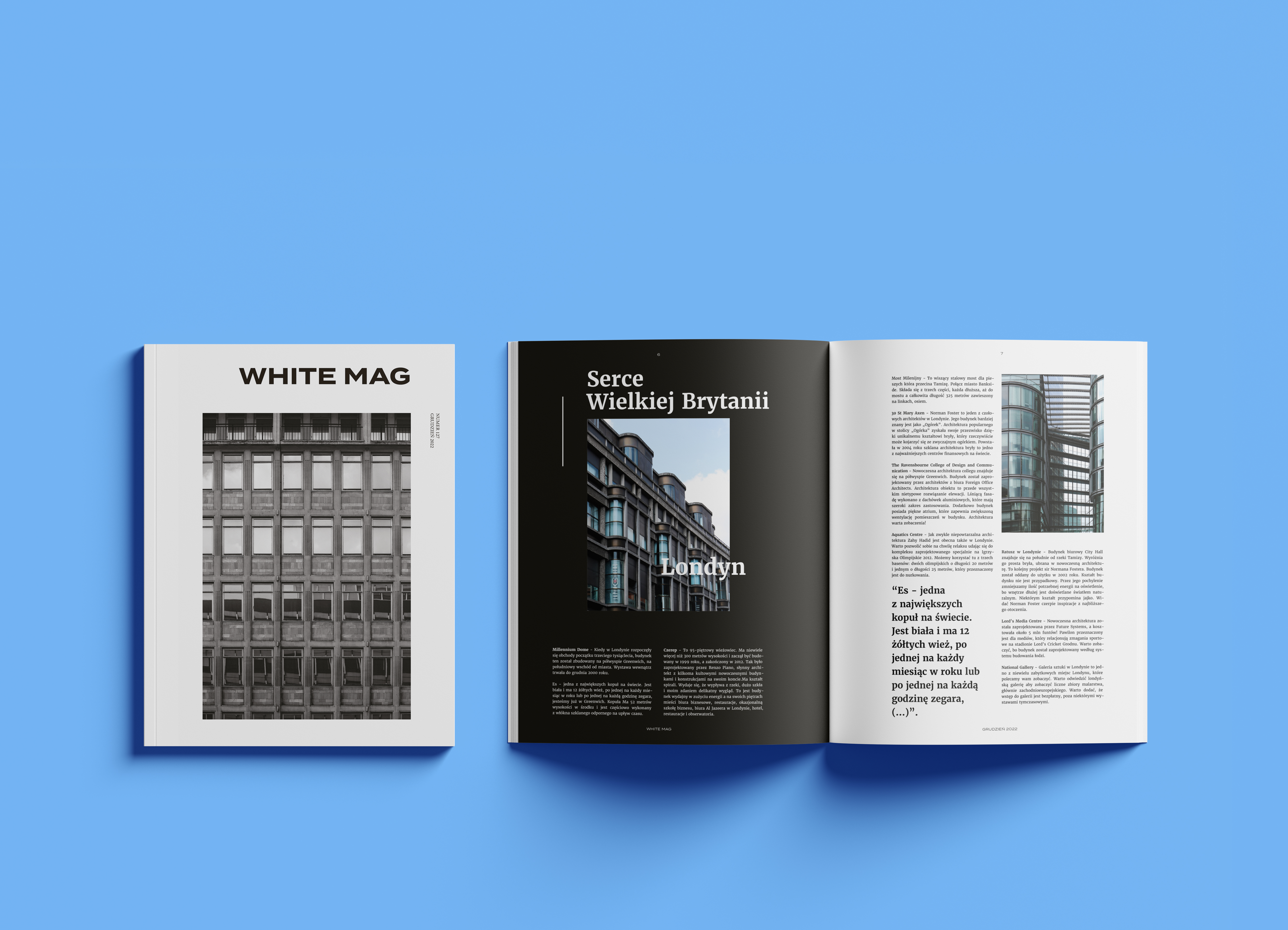 Portfolio item