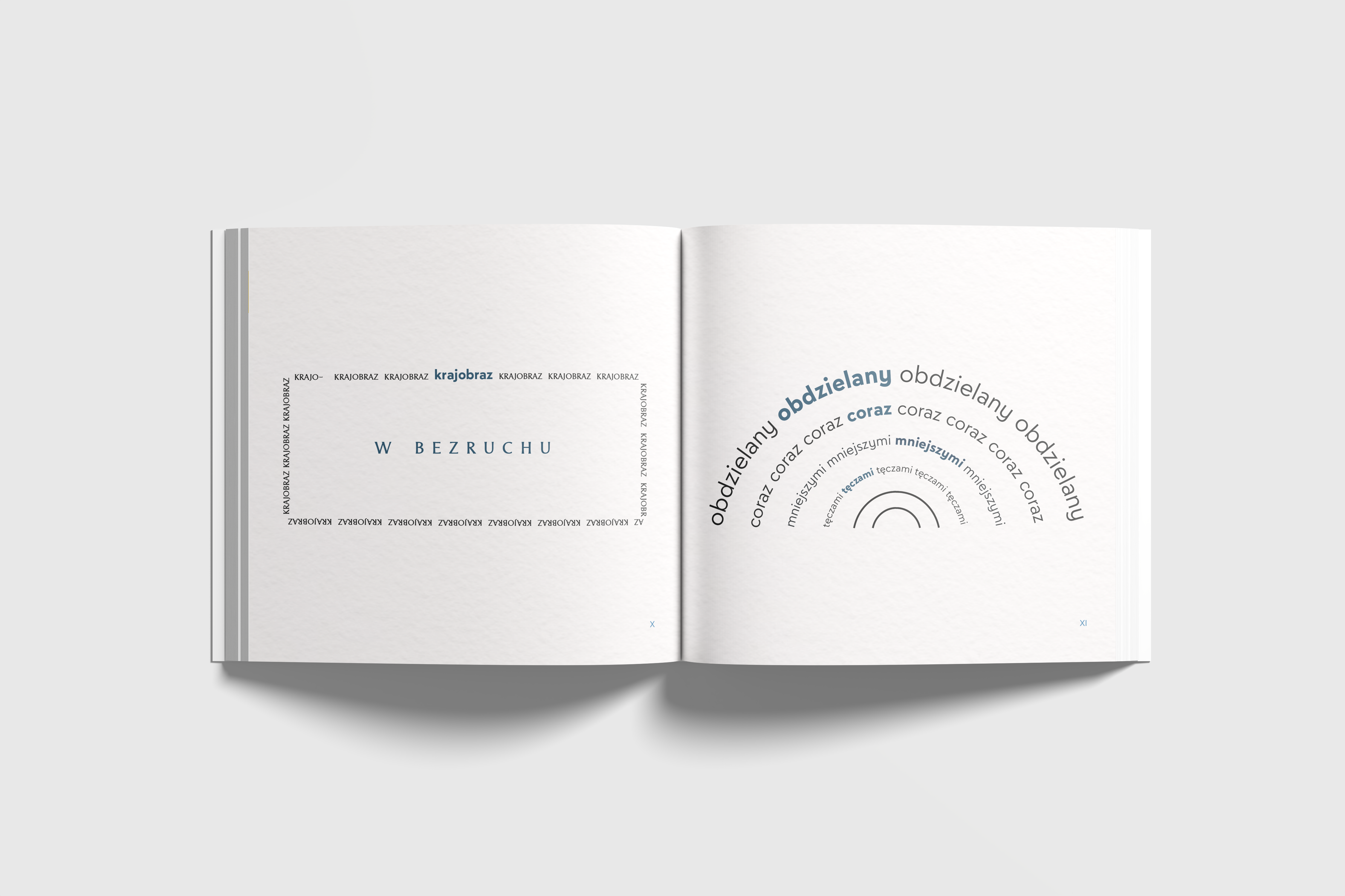 Portfolio item