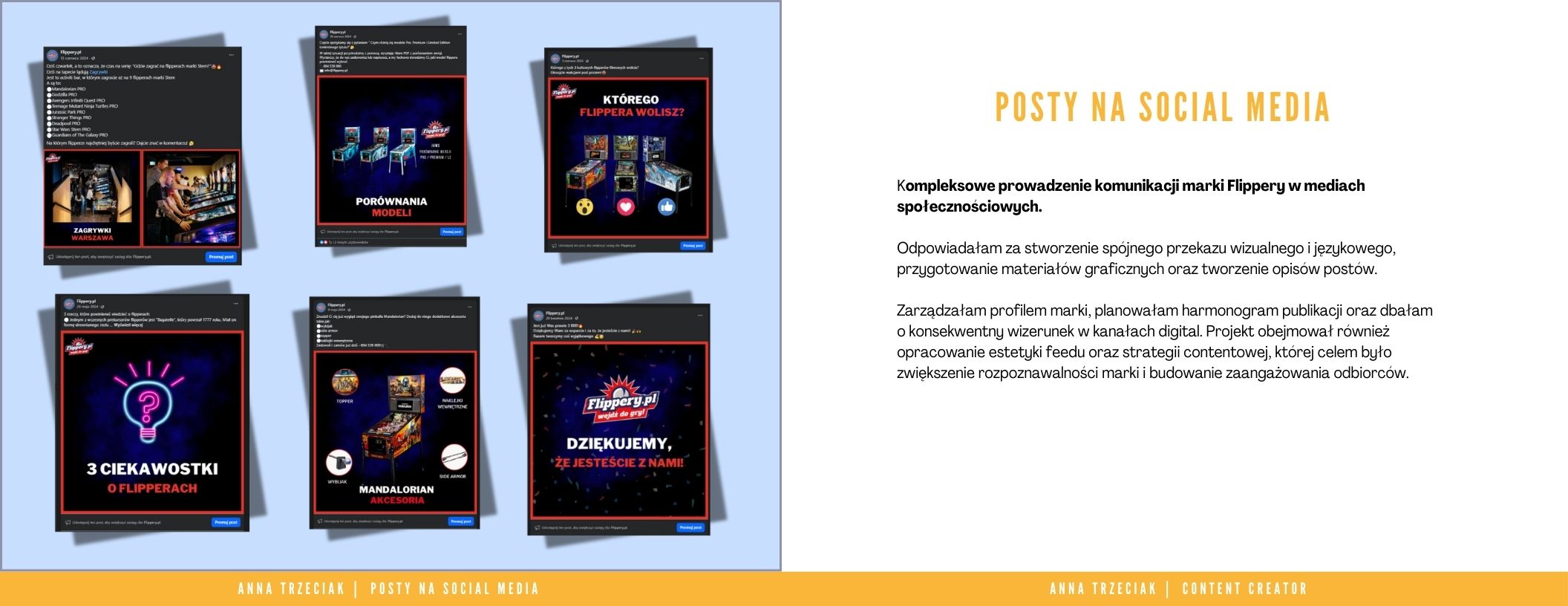 Portfolio item