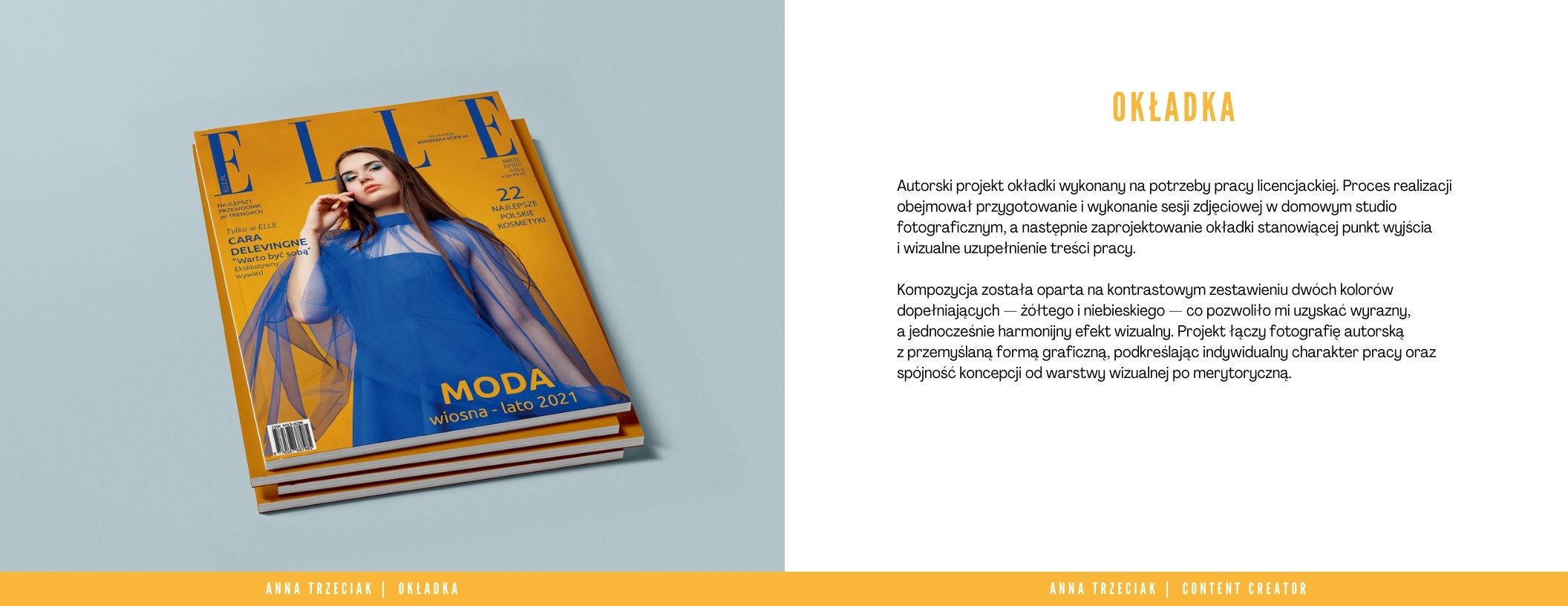 Portfolio item