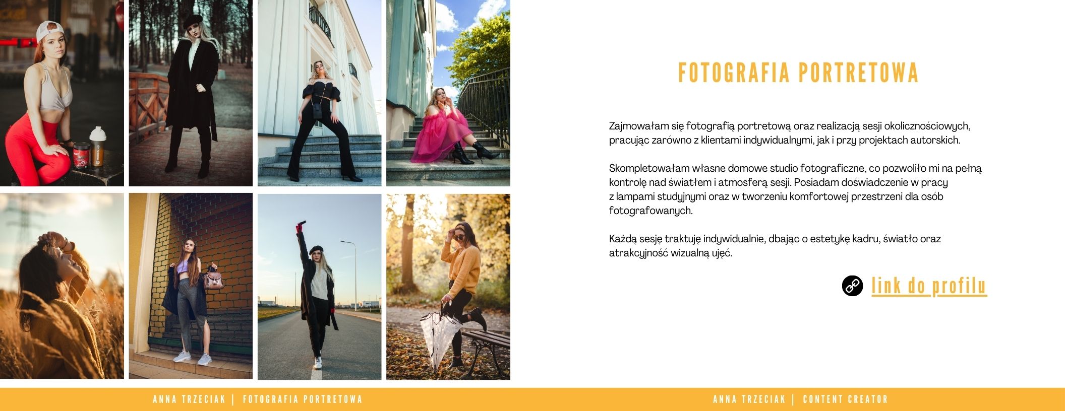 Portfolio item