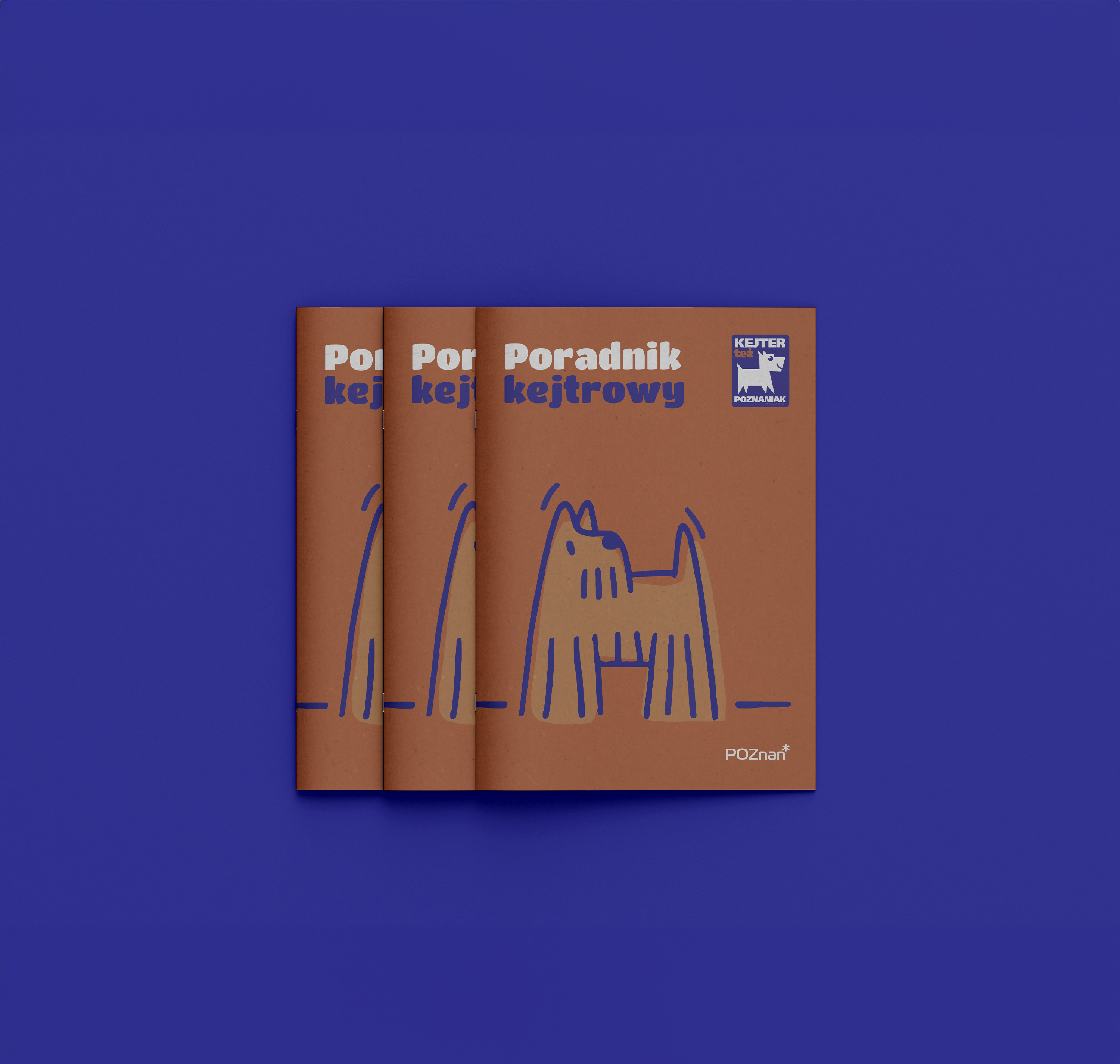 Portfolio item