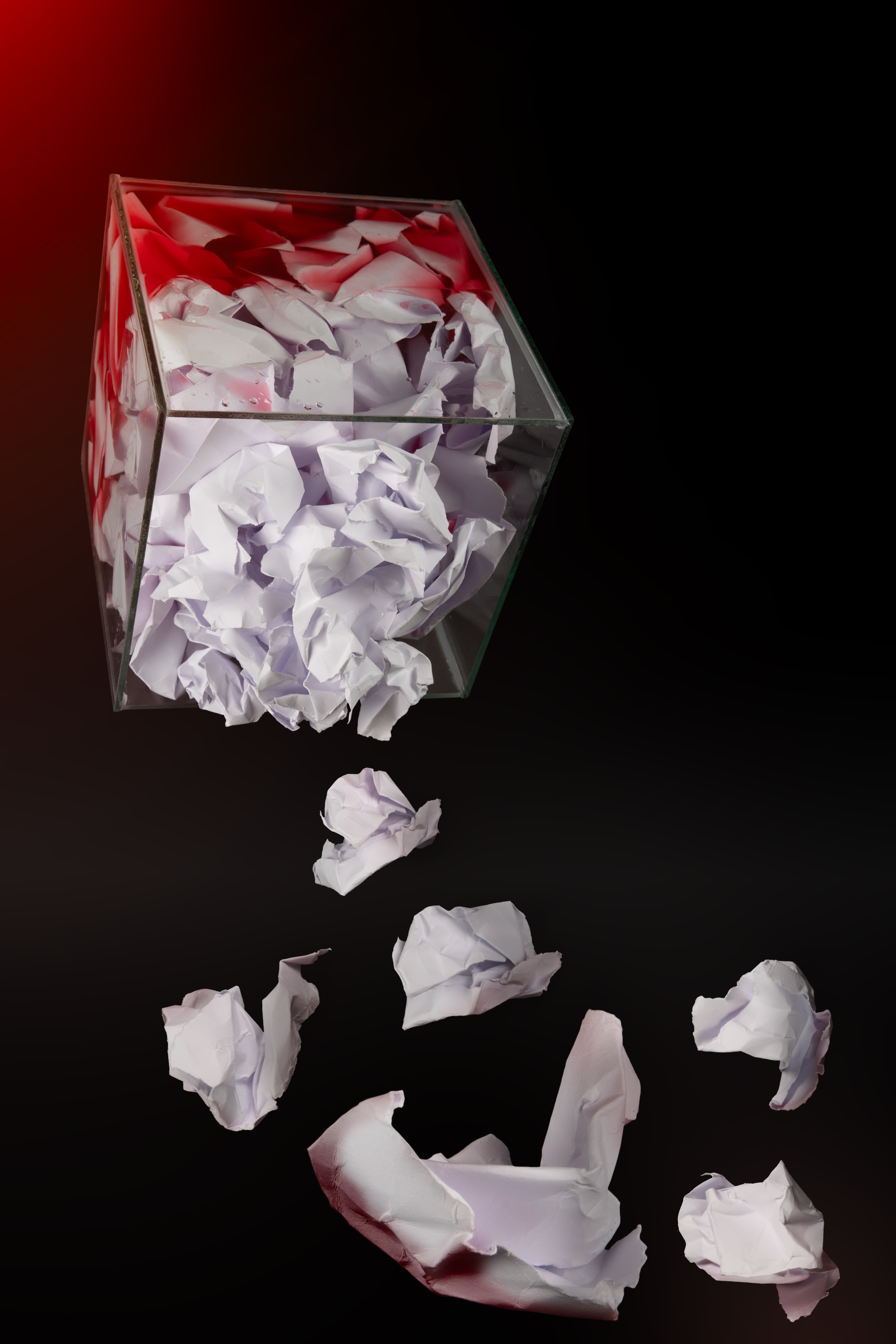 Portfolio item