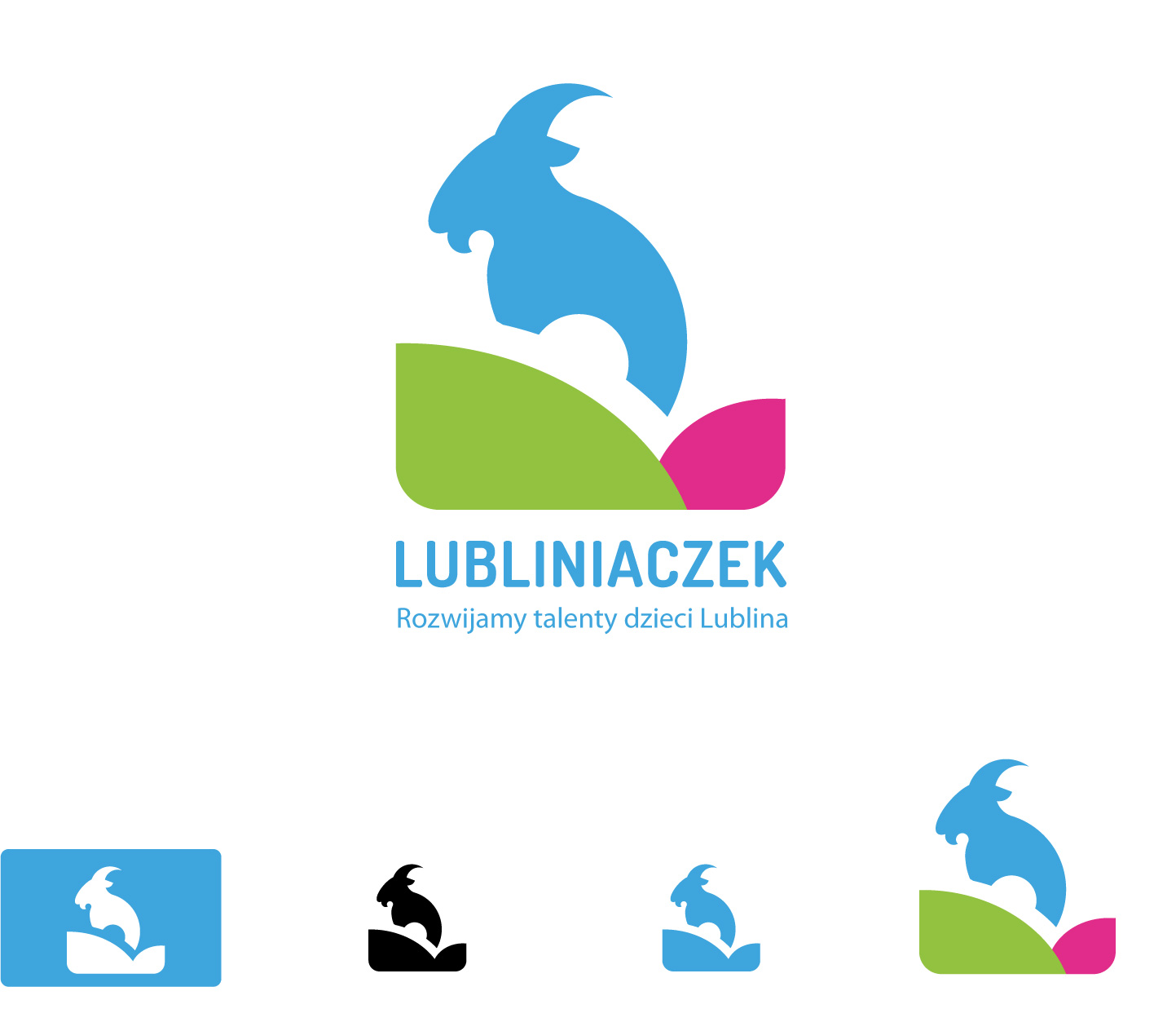 Portfolio item