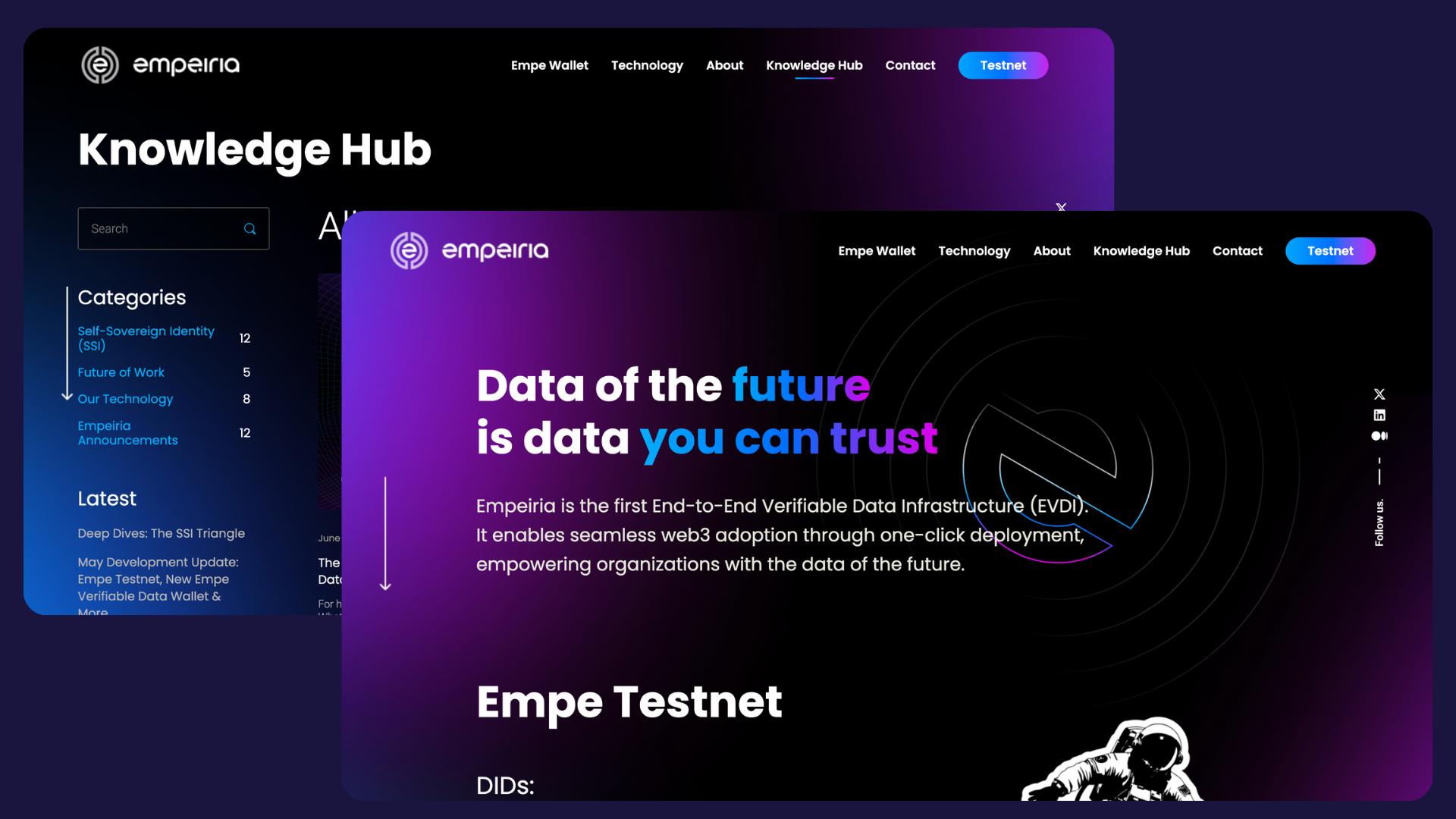 Portfolio item