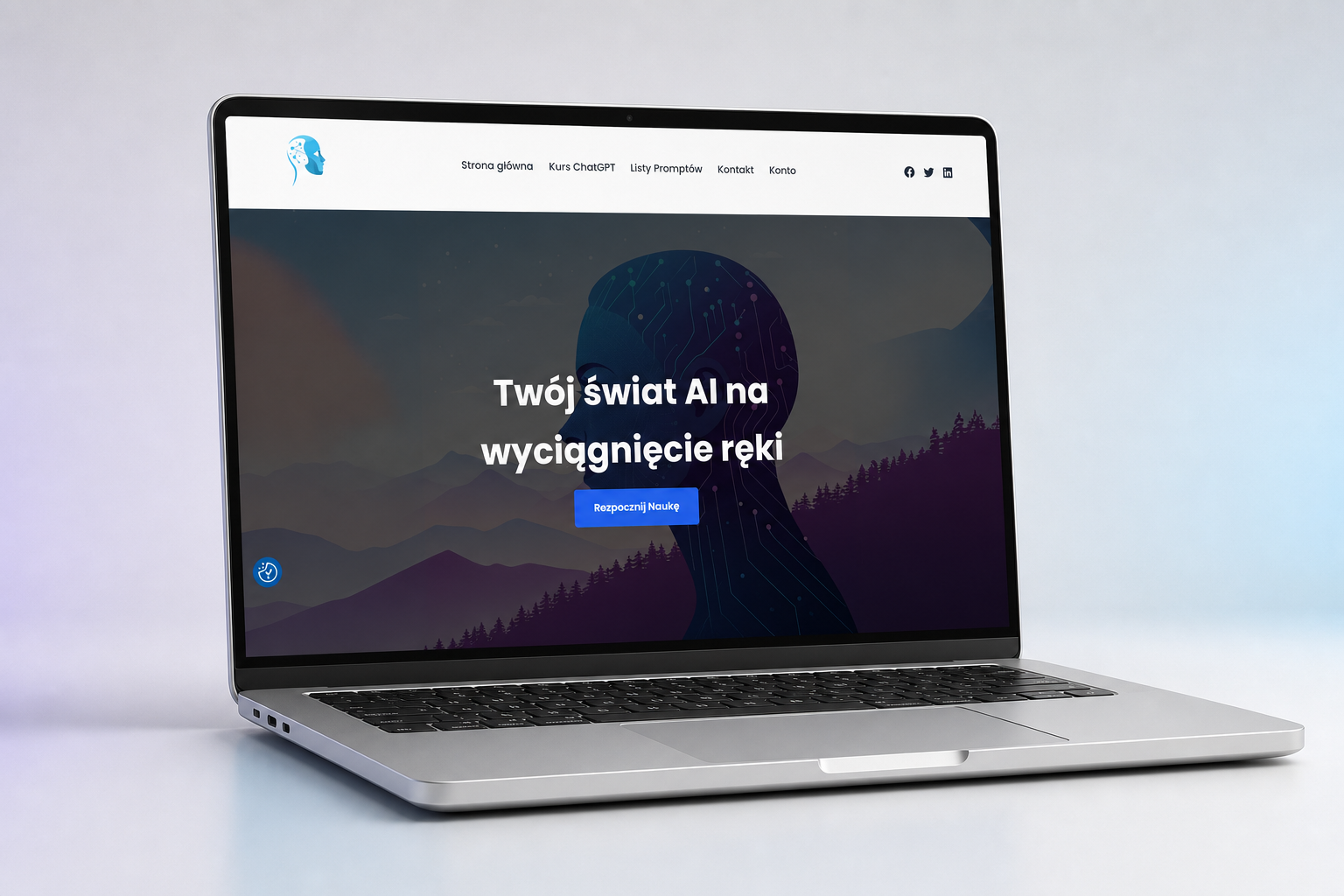 Portfolio item