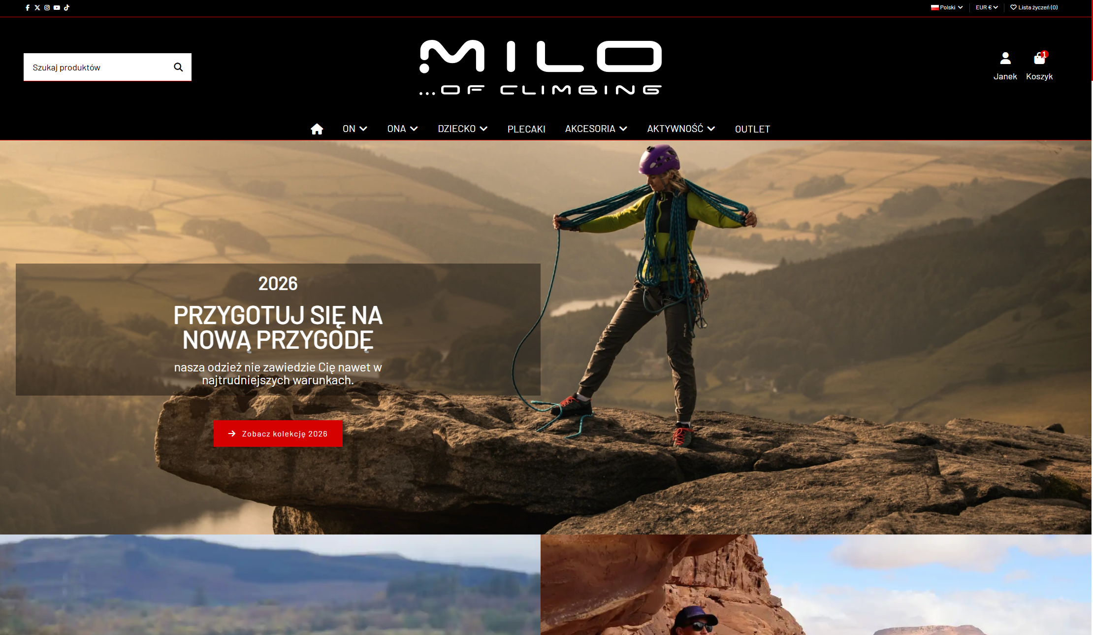 Portfolio item