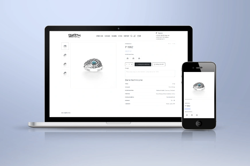 Portfolio item