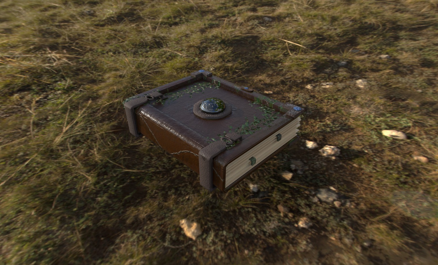 Portfolio item